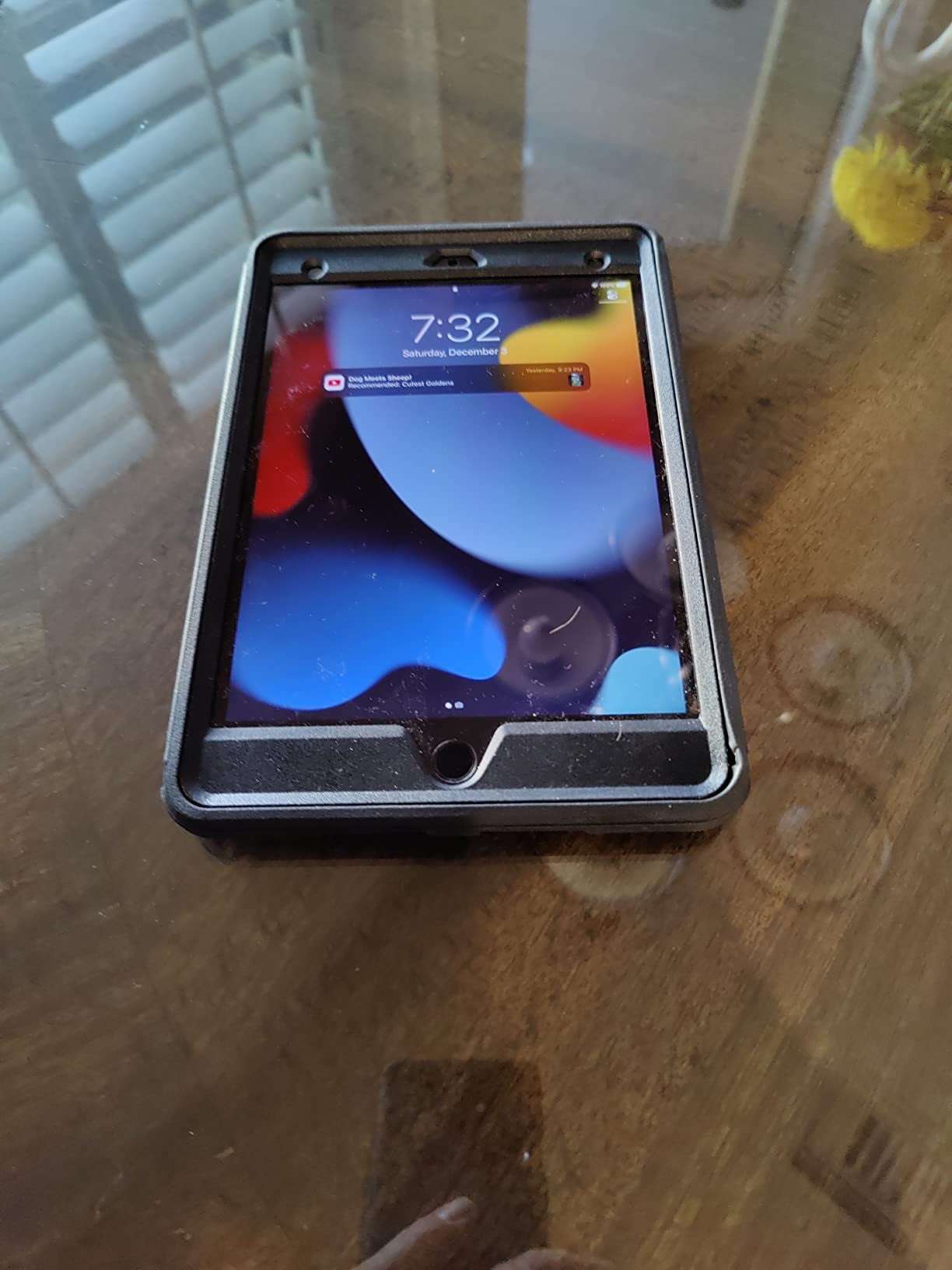 Apple iPad Mini (Wi-Fi + Cellular, 256GB) - Space Gray (Renewed) Customer Review Apple iPad Mini (Wi-Fi + Cellular, 256GB) - Space Gray (Renewed) - Customer Photo 2