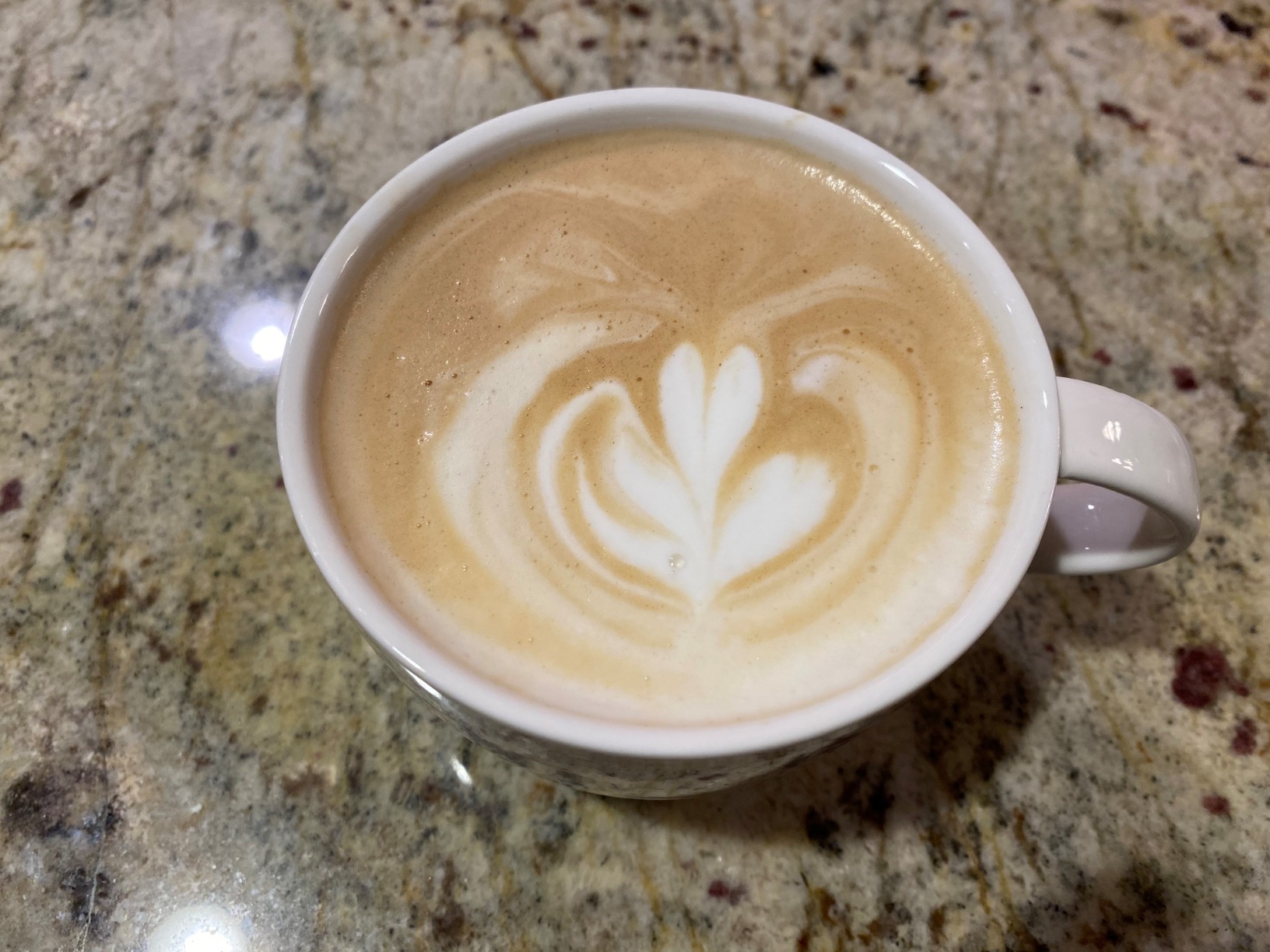 Breville Barista Pro Espresso Machine BES878BSS, Brushed Stainless Steel - Customer Photo 1