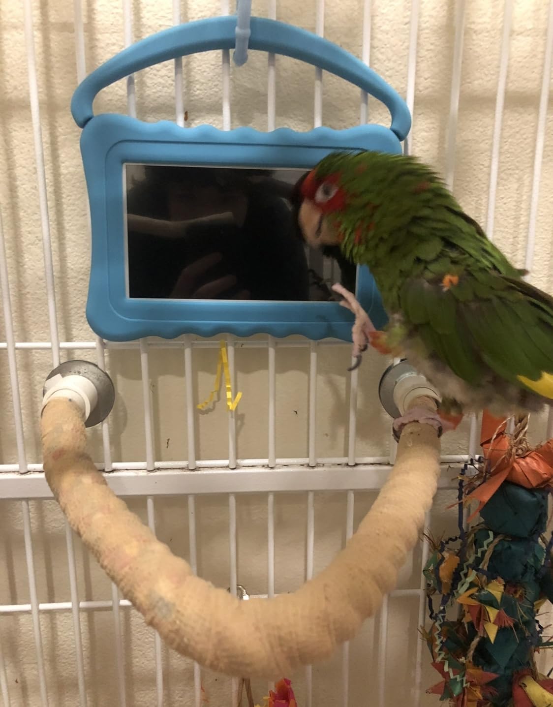 Kids Tablets7 inch Toddler Tablet for Kids Edition Tablets with WiFi Dual Camera Children's Tablets for Toddlers 32GB Android with Parental Controls Shockproof Case Tablet for kids ages 3-14(Blue） - Customer Photo 1