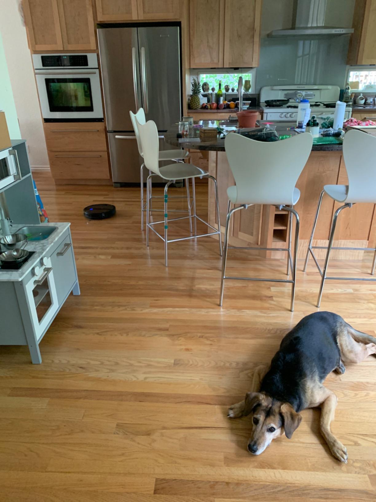 eufy Like-New BoostIQ RoboVac 11S MAX, Robot Vacuum Cleaner, Super-Thin, Powerful Suction, Quiet, Self-Charging Robotic Vacuum Cleaner, Cleans Hard Floors to Medium-Pile Carpets, Black (Renewed) - Customer Photo 2