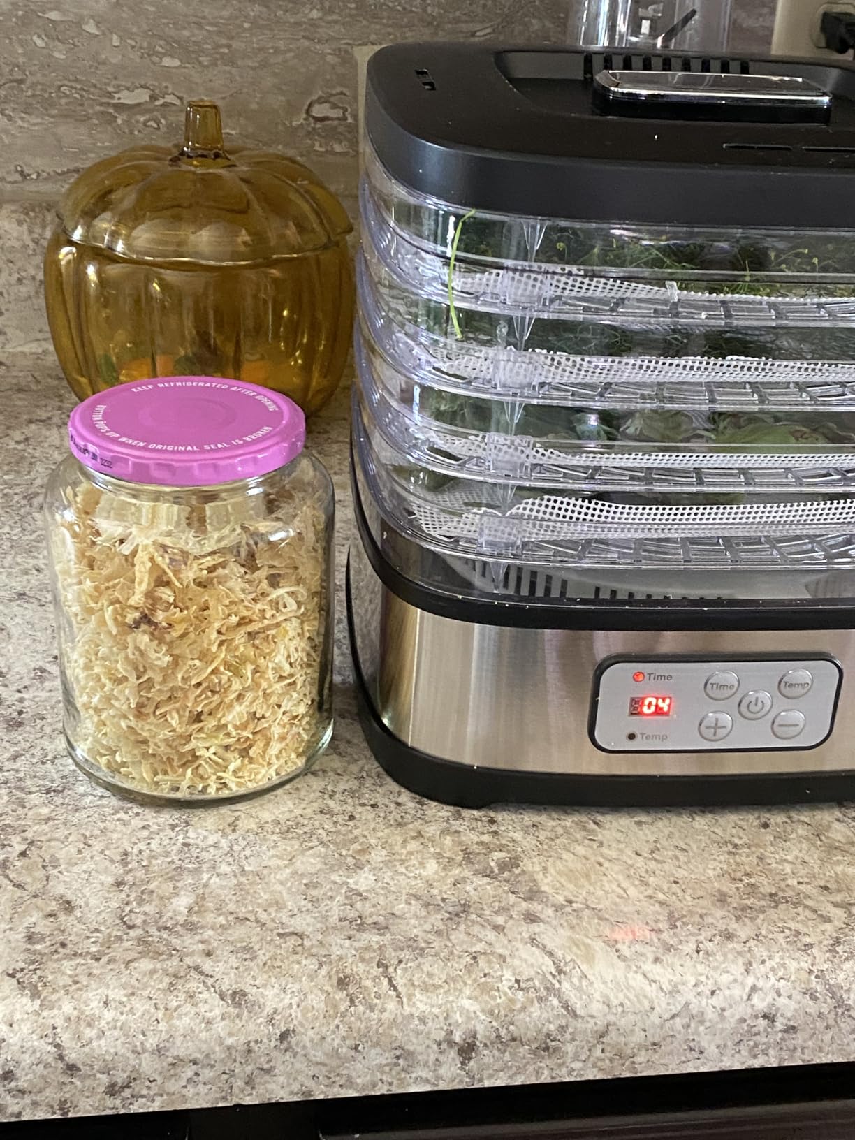 OSTBA Food Dehydrator, Dehydrator for Food and Jerky, Fruits, Herbs, Veggies, Temperature Control Electric Food Dryer Machine, 5 BPA-Free Trays Dishwasher Safe, 240W, Recipe Book Included - Customer Photo 1