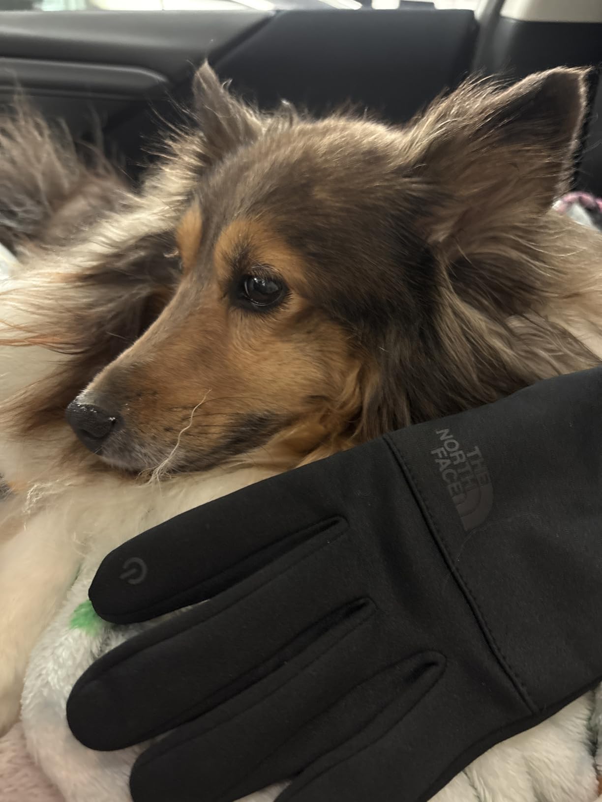 Etip Fleece Recycled Gloves | Touchscreen Compatible Gear for Men & Women, Hand Warming Winter Essential Customer Review Etip Fleece Recycled Gloves | Touchscreen Compatible Gear for Men & Women, Hand Warming Winter Essential - Customer Photo 1