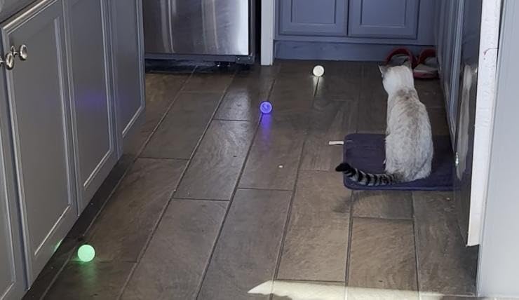 THIODOON Glow in The Dark Golf Balls Light up Night Led Golf Balls - Customer Photo 2