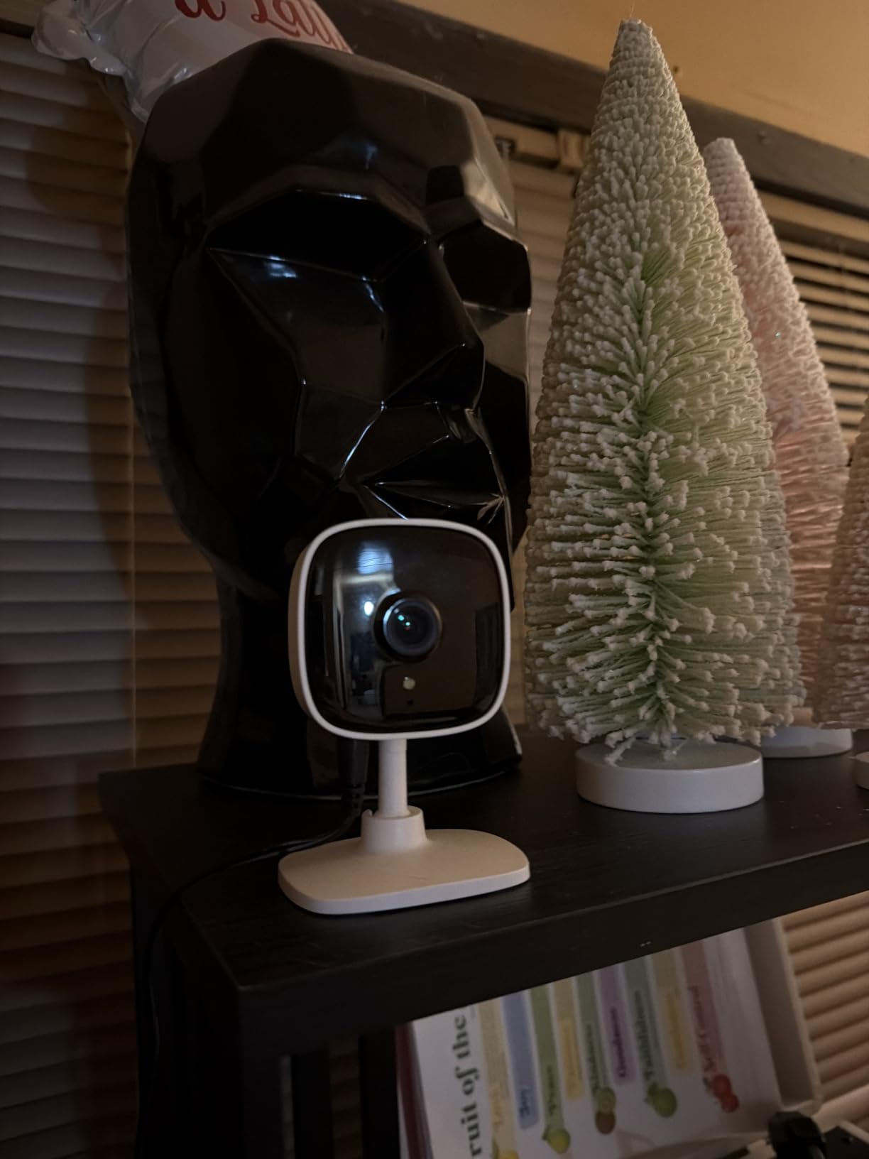 TP-Link Tapo 1080P Indoor Security Camera for Baby Monitor, Dog Camera w/Motion Detection, 2-Way Audio Siren, Night Vision, Cloud & SD Card Storage, Works w/Alexa & Google Home (Tapo C100) - Customer Photo 3