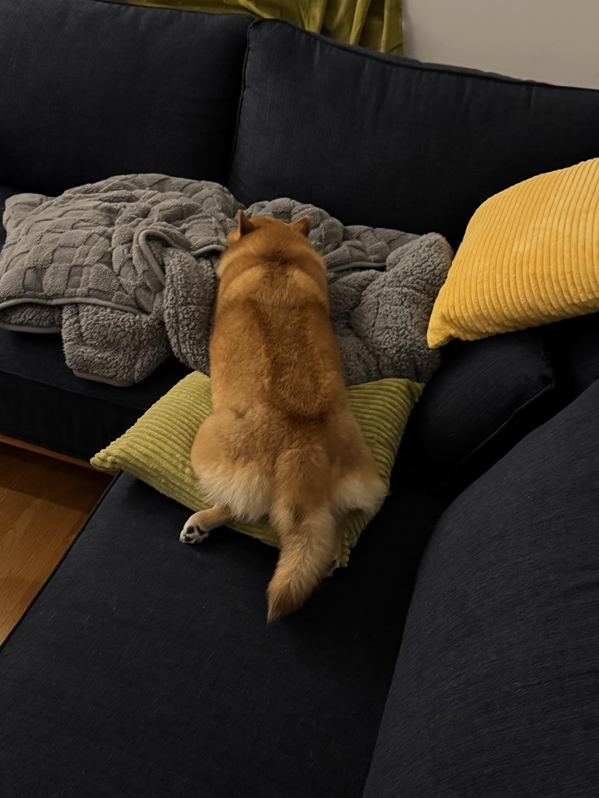 Uttermara Weighted Blanket Twin 15 Pounds, Adult Weighted Blankets with Soft Plush Flannel Fleece & Cozy Warm Sherpa for Couch Bed, Heavy Blanket Great for Calming and Relax, Grey 48x72 Inches - Customer Photo 4