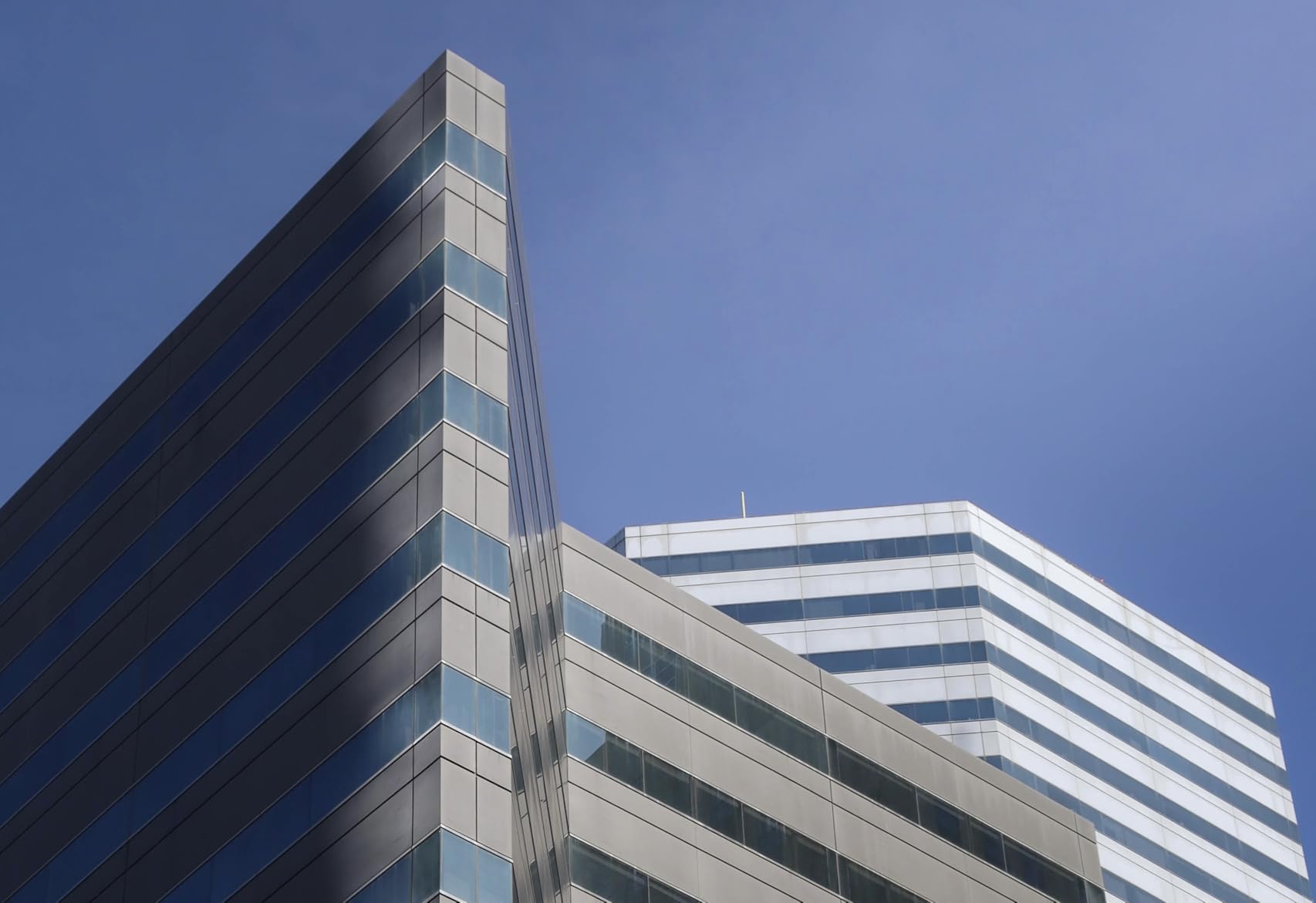 Canon EOS RP Full-Frame Mirrorless Interchangeable Lens Camera + RF24-105mm Lens F4-7.1 is STM Lens Kit- Compact and Lightweight for Traveling and Vlogging, Black (3380C132) Customer Review Canon EOS RP Full-Frame Mirrorless Interchangeable Lens Camera + RF24-105mm Lens F4-7.1 is STM Lens Kit- Compact and Lightweight for Traveling and Vlogging, Black (3380C132) - Customer Photo 2