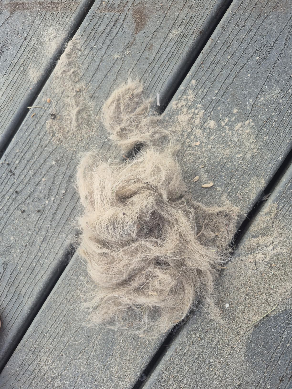 Shark Cordless Vacuum Cleaner with HEPA Filter, Lightweight, Portable, Rechargeable, Powerful Pet Hair Pickup, Removable Handheld, Crevice Tool, Dusting Brush, 50-min Runtime, Blue, IZ363HT Customer Review Shark Cordless Vacuum Cleaner with HEPA Filter, Lightweight, Portable, Rechargeable, Powerful Pet Hair Pickup, Removable Handheld, Crevice Tool, Dusting Brush, 50-min Runtime, Blue, IZ363HT - Customer Photo 2