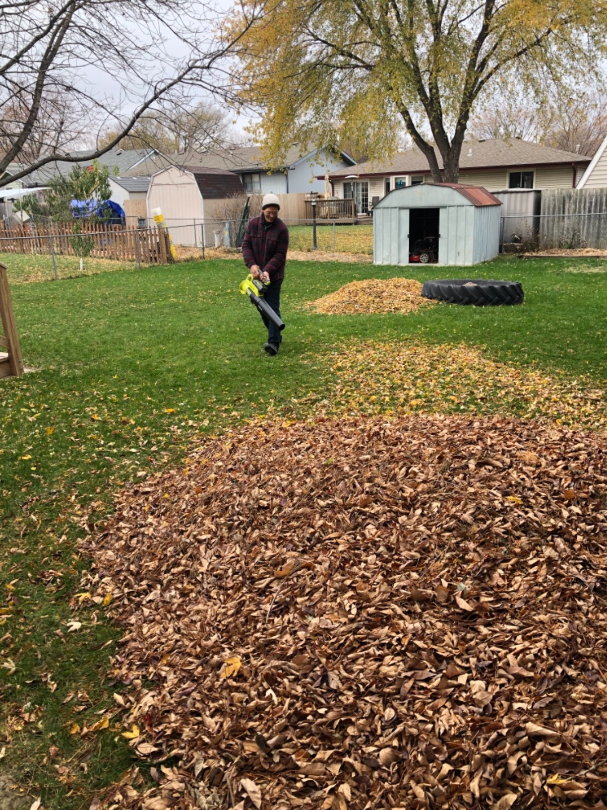 RYOBI 110 MPH 525 CFM 40-Volt Lithium-Ion Cordless Variable-Speed Jet Fan Bare Tool Leaf Blower, Battery and Charger Not Included - Customer Photo 1