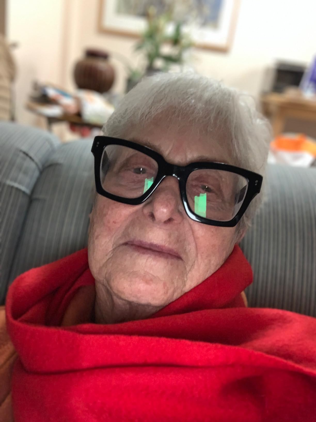 Fishers Finery Women's 100% Pure Cashmere Winter Scarf - Customer Photo 2