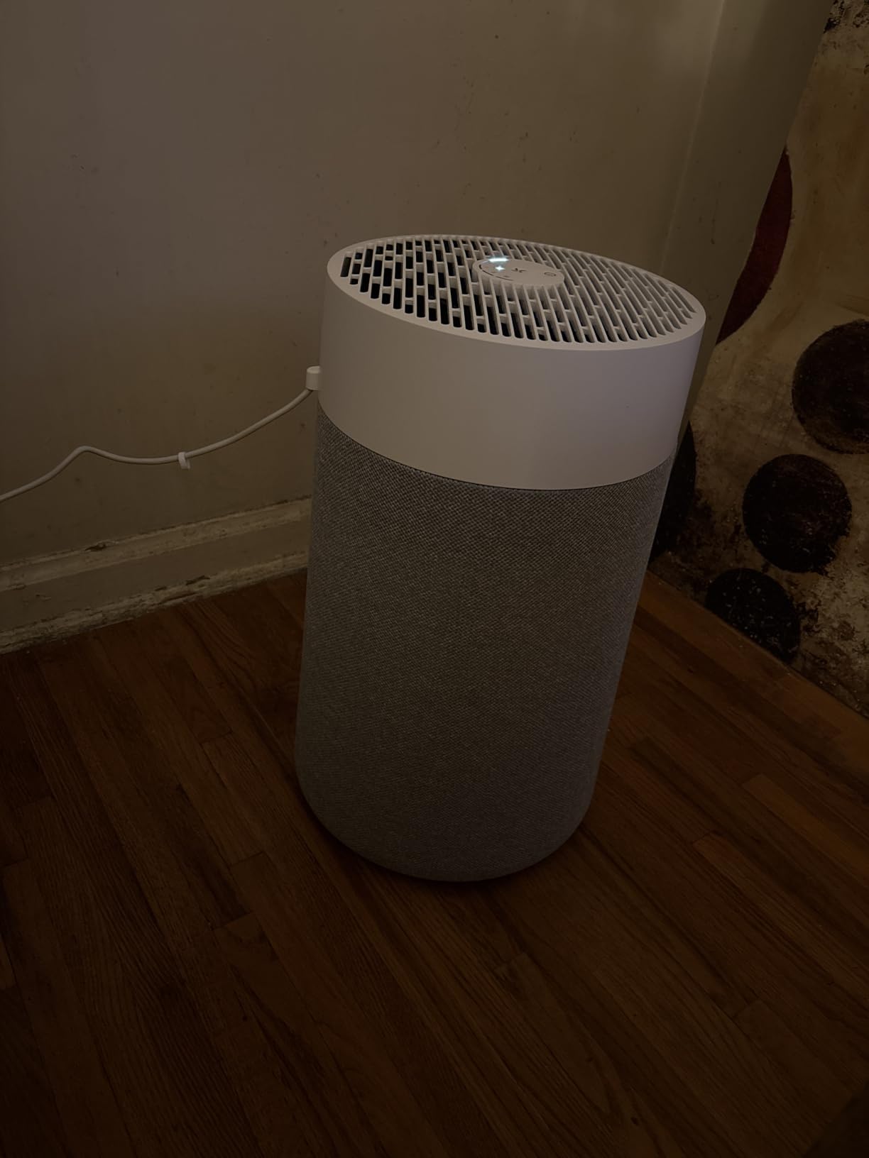 BLUEAIR Air Purifier for Small Room, Bedroom, Home, Cleans 926 sqft in one hour, HEPASilent Air Cleaner for Pets, Allergens, Virus, Dust, Mold, Smoke - Blue Pure 511i Max - Customer Photo 1