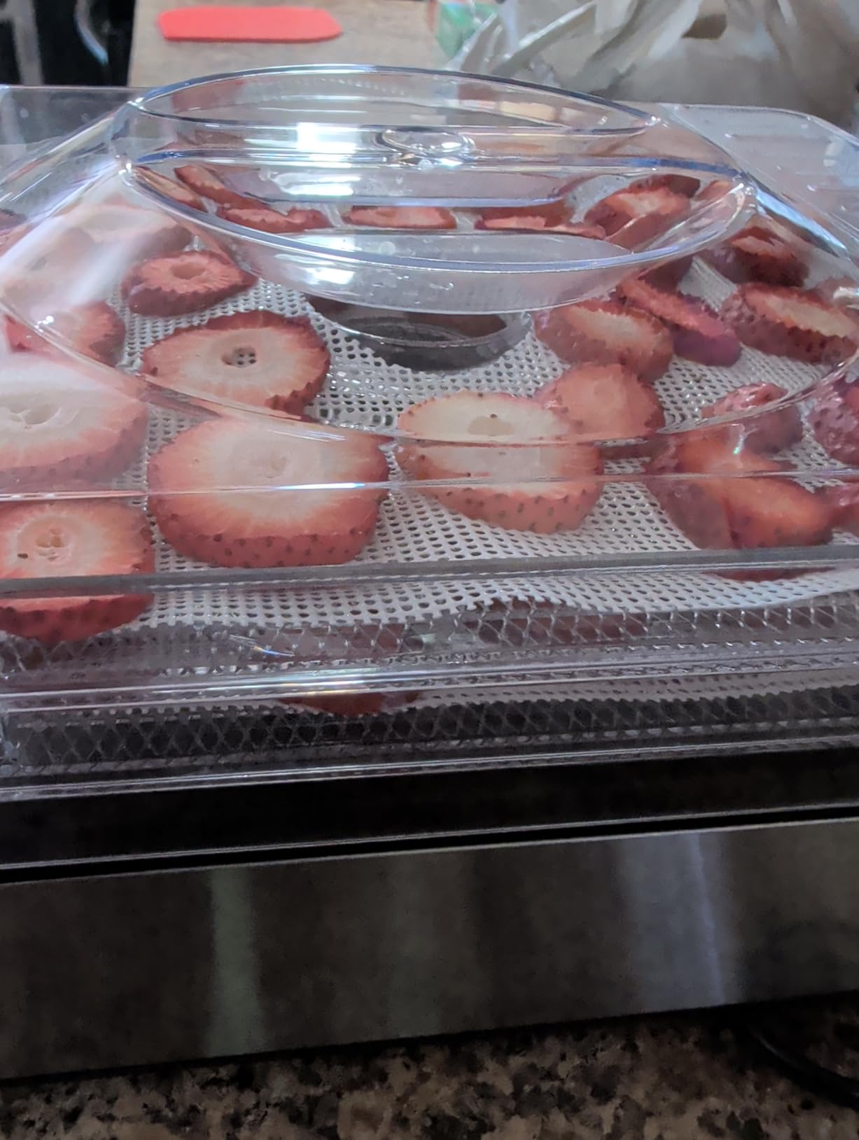 Magic Mill Food Dehydrator Machine | 5 Stackable Stainless Steel Trays Jerky Dryer with Digital Adjustable Timer & Temperature Control - Electric Food Preserver for Fruits, Veggies, Meats & Dog Treats - Customer Photo 1