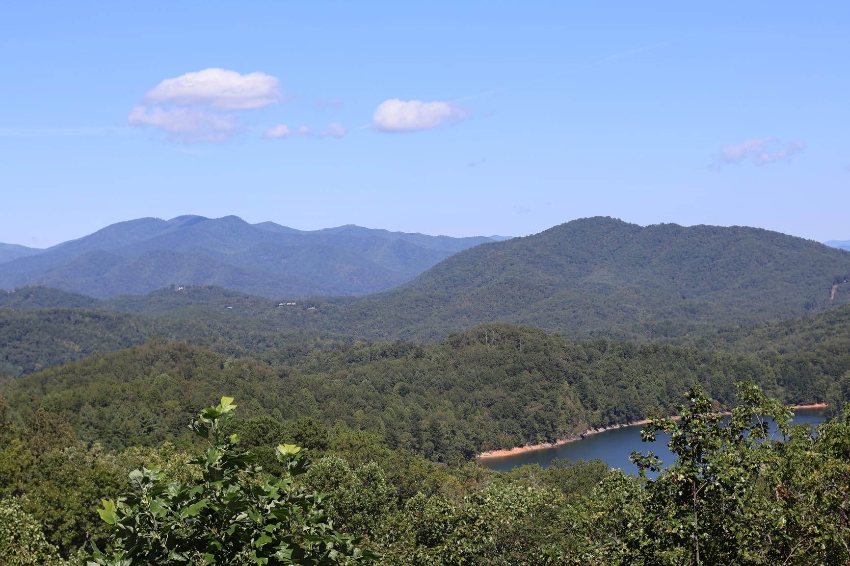 Canon RF50mm F1.8 STM Lens, Fixed Focal Length Prime Lens, Compatible with EOS R Series Mirrorless Cameras, Black Customer Review Canon RF50mm F1.8 STM Lens, Fixed Focal Length Prime Lens, Compatible with EOS R Series Mirrorless Cameras, Black - Customer Photo 1