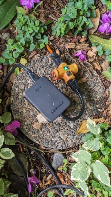 Wyze Plug Outdoor, Dual Outlets Energy Monitoring, IP64, 2.4GHz WiFi Smart Plug, Works with Alexa, Google Assistant, IFTTT, No Hub Required, Black - Customer Photo 2