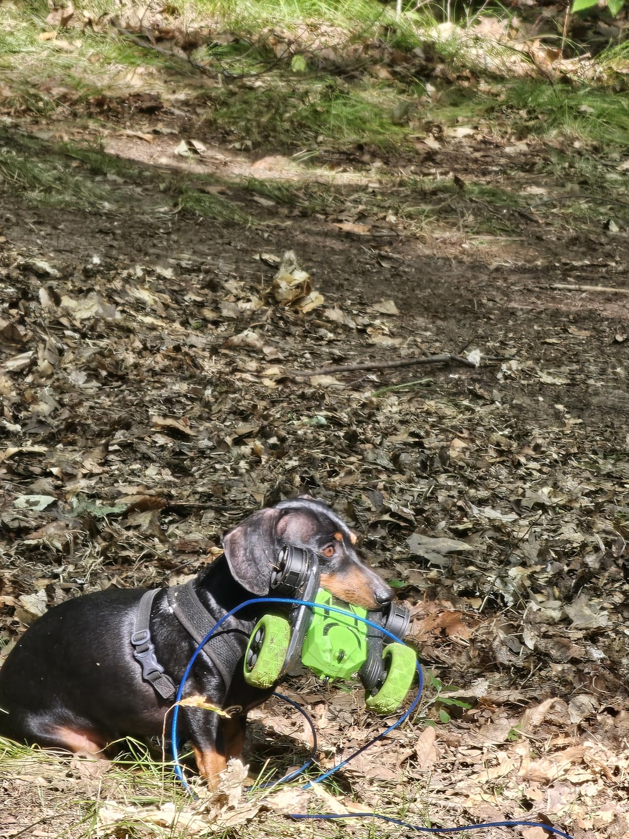 Remote Control Car for Kids, 360° Rotating RC Stunt Car Double-Sided 4WD Electric Vehicle with LED Lights, 2.4GHz Rechargeable Toy Cars for Boys Girls Age 6 7 8 9 10 11 12, Birthday Gift - Customer Photo 2