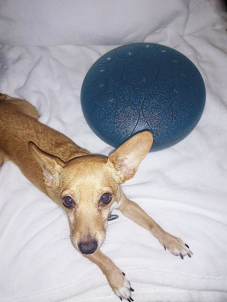 Steel Tongue Drum - 15 Note 14 Inch Hand Pan Drum - D Major with Music Book, Mallets and Carry Bag - Customer Photo 4