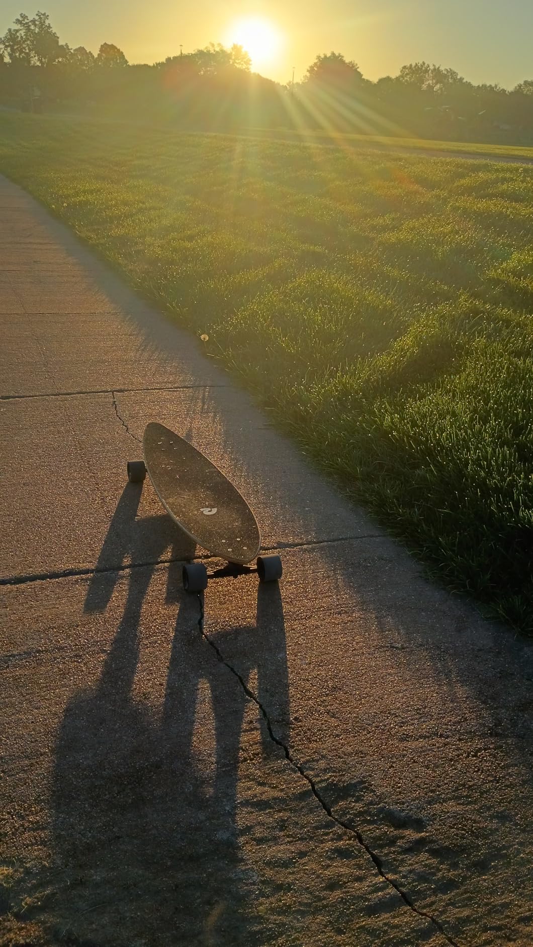 Retrospec Zed Pintail & Cruiser Longboard Adult Skateboard - 44in Bamboo & Canadian Maple Deck with ABEC-7 Bearings, 70mm PU Wheels for Commuting & Carving customer photo 1