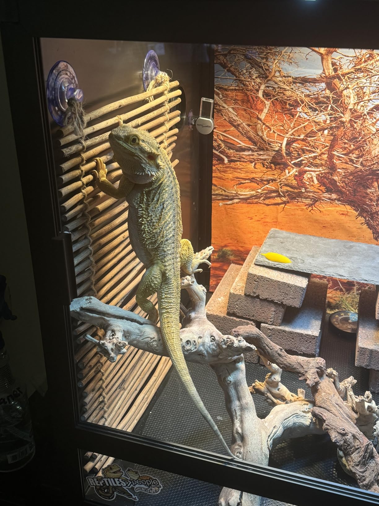 Kasa Smart Plug Ultra Mini 15A, Smart Home Wi-Fi Outlet Works with Alexa, Google Home & IFTTT, No Hub Required, UL Certified, 2.4G WiFi Only, 2 Count (Pack of 1)(EP10P2), White - Customer Photo 1