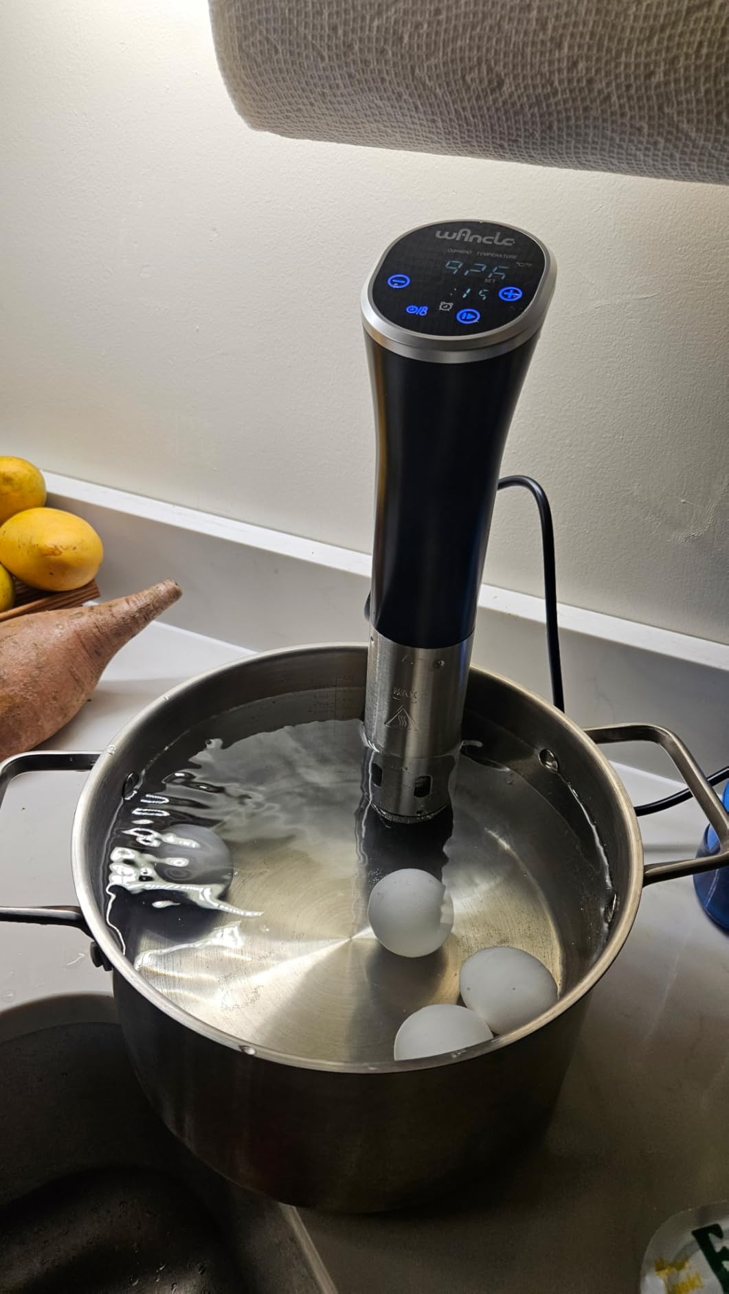 Sous Vide, Wancle Sous Vide Cooker 1100W IPX7 Waterproof Thermal Immersion Circulator With Reservation Function, Easy to store - Customer Photo 1