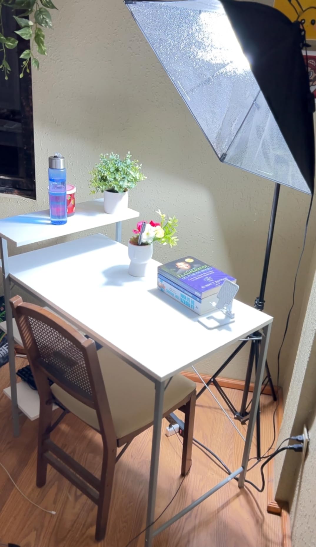 Skytex Softbox Lighting Kit(2Pack), 20x28in Soft Box | 85W 2700-6400K E27 LED Bulb Continuous Photography Lighting, Photo Studio Lights Equipment for Camera Shooting, Video Recording Customer Review Skytex Softbox Lighting Kit(2Pack), 20x28in Soft Box | 85W 2700-6400K E27 LED Bulb Continuous Photography Lighting, Photo Studio Lights Equipment for Camera Shooting, Video Recording - Customer Photo 1