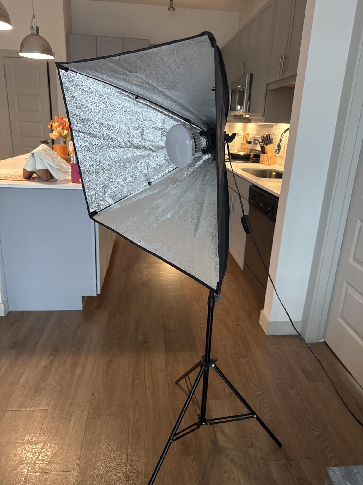 Skytex Softbox Lighting Kit(2Pack), 20x28in Soft Box | 85W 2700-6400K E27 LED Bulb Continuous Photography Lighting, Photo Studio Lights Equipment for Camera Shooting, Video Recording Customer Review Skytex Softbox Lighting Kit(2Pack), 20x28in Soft Box | 85W 2700-6400K E27 LED Bulb Continuous Photography Lighting, Photo Studio Lights Equipment for Camera Shooting, Video Recording - Customer Photo 2