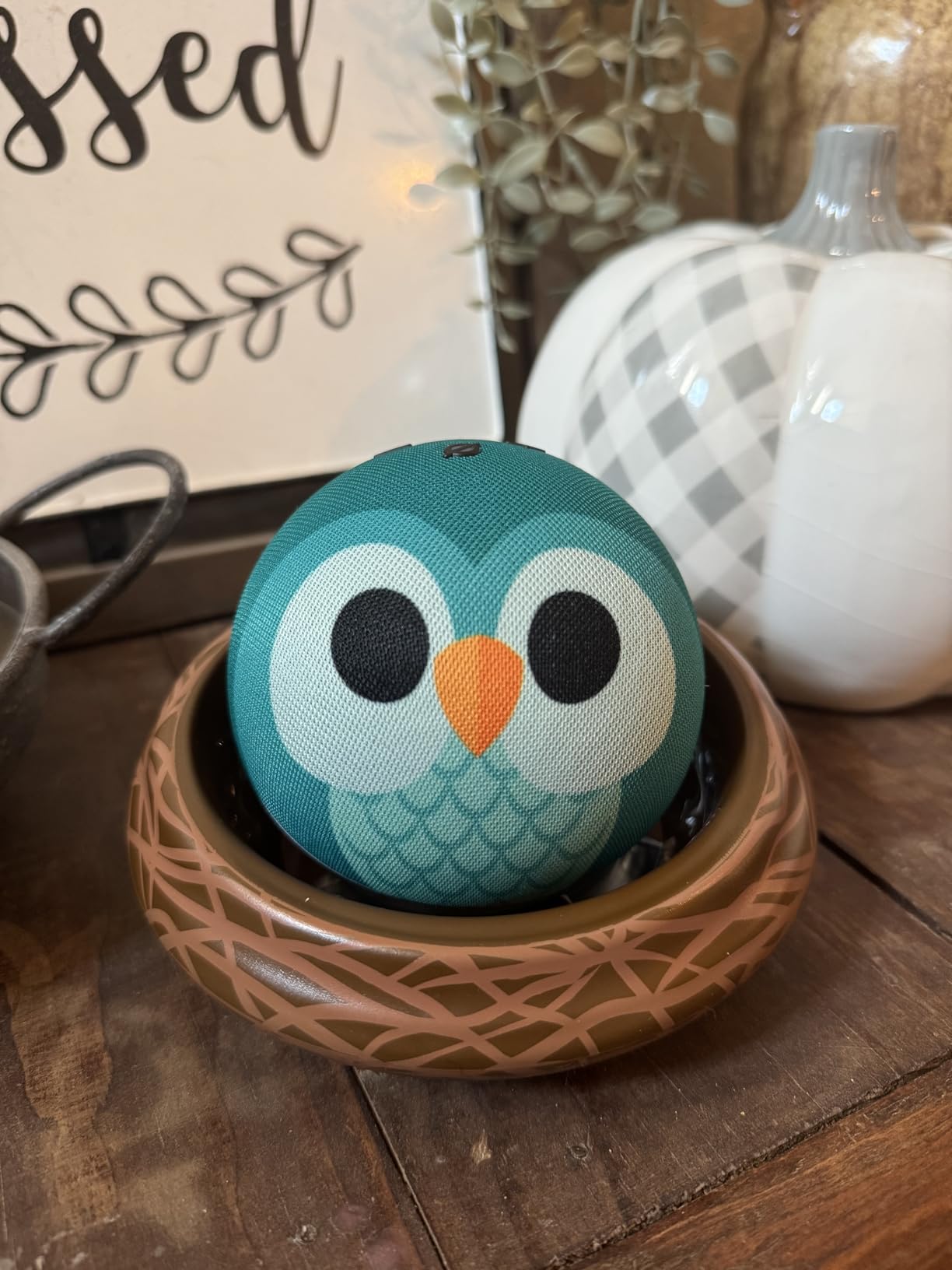 Amazon Echo Dot Kids with Alexa (newest model), Designed for kids, with parental controls, Includes 1 Year of Amazon Kids+, Owl - Customer Photo 1