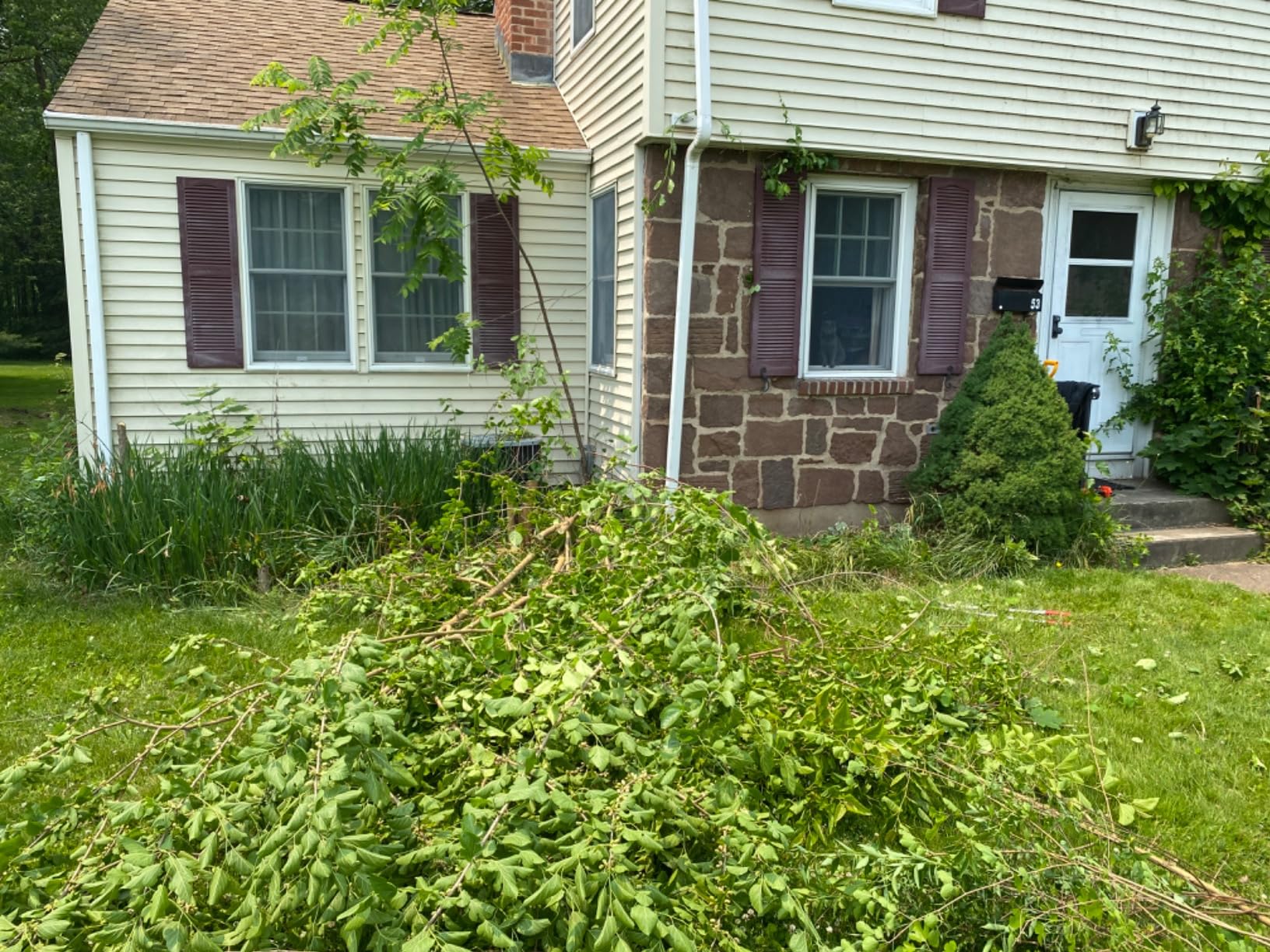 Mini Chainsaw 6 Inch Cordless - Upgraded Powerful Small Chain Saw Battery Powered - Light Weight Cordless Hand Saw - Handheld Mini Electric Saw For Tree Branches, Trimming, Wood Cutting Customer Review Mini Chainsaw 6 Inch Cordless - Upgraded Powerful Small Chain Saw Battery Powered - Light Weight Cordless Hand Saw - Handheld Mini Electric Saw For Tree Branches, Trimming, Wood Cutting - Customer Photo 1