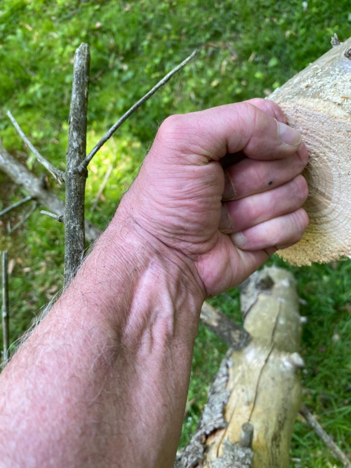 Mini Chainsaw 6 Inch Cordless - Upgraded Powerful Small Chain Saw Battery Powered - Light Weight Cordless Hand Saw - Handheld Mini Electric Saw For Tree Branches, Trimming, Wood Cutting Customer Review Mini Chainsaw 6 Inch Cordless - Upgraded Powerful Small Chain Saw Battery Powered - Light Weight Cordless Hand Saw - Handheld Mini Electric Saw For Tree Branches, Trimming, Wood Cutting - Customer Photo 2