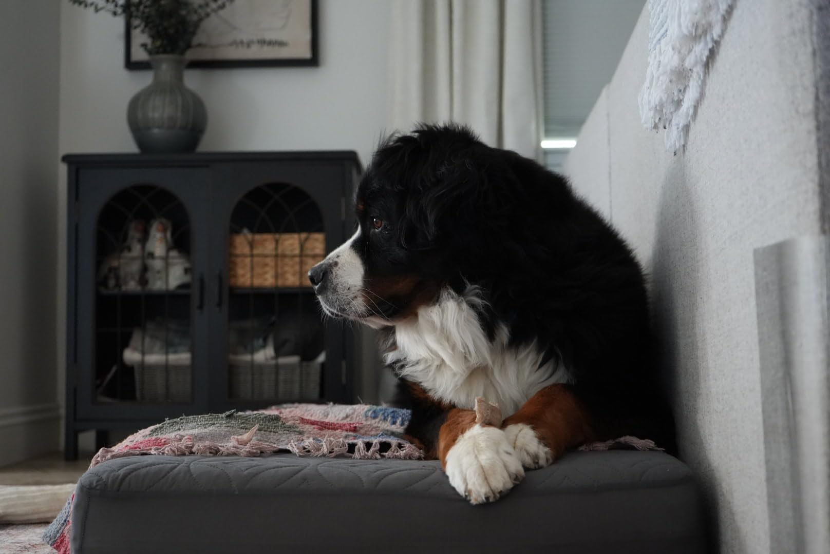 Sony Alpha 7 IV Full-frame Mirrorless Interchangeable Lens Camera with 28-70mm Zoom Lens Kit Customer Review Sony Alpha 7 IV Full-frame Mirrorless Interchangeable Lens Camera with 28-70mm Zoom Lens Kit - Customer Photo 1