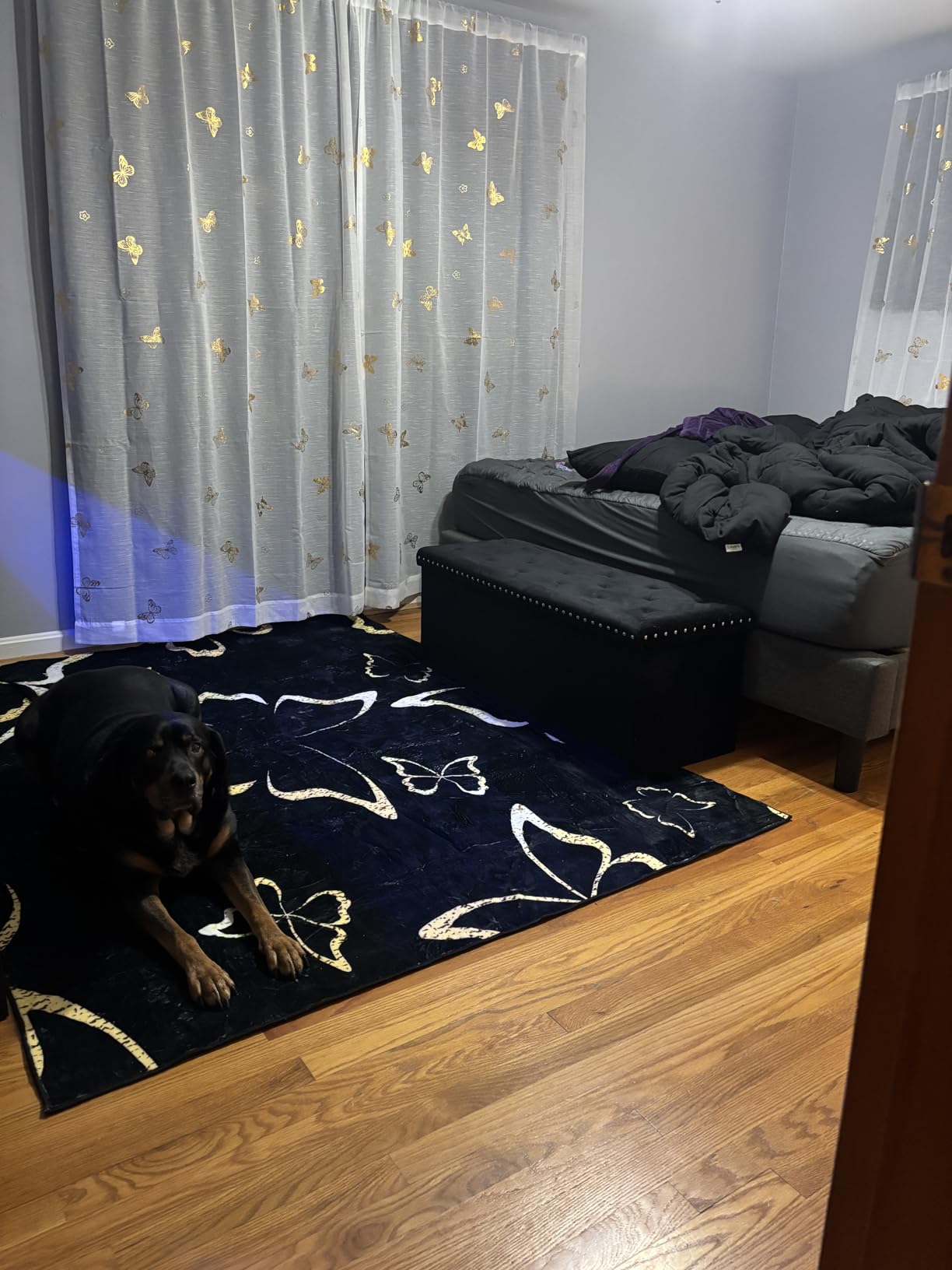 PINPLUS Black Storage Ottoman Bench for Bedroom, Folding Velvet Chest with Benches Foot Rest Stool, Large Long Shoes Chest for Bedroom, Living Room, 43.3