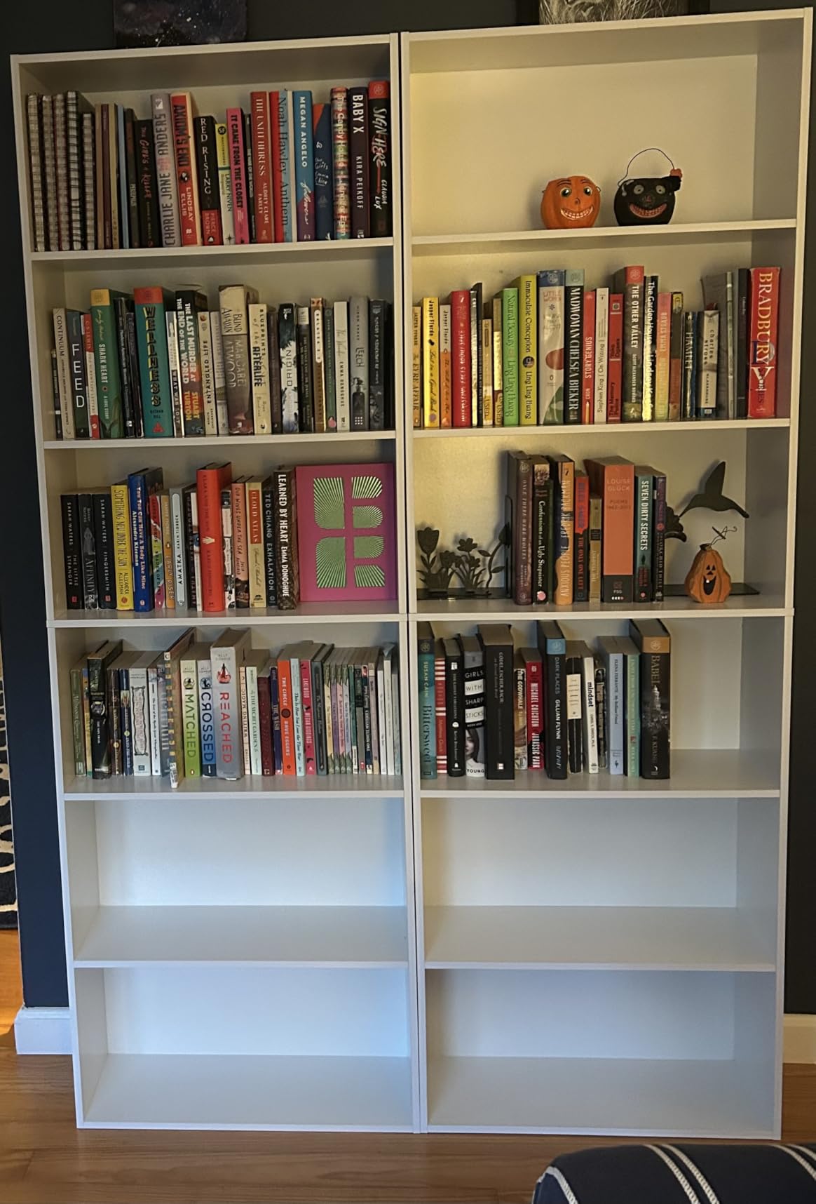 FOTOSOK 6-Tier Open Bookcase and Bookshelf, Freestanding Display Storage Shelves Tall Bookcase for Bedroom, Living Room and Office, Black Customer Review FOTOSOK 6-Tier Open Bookcase and Bookshelf, Freestanding Display Storage Shelves Tall Bookcase for Bedroom, Living Room and Office, Black - Customer Photo 2