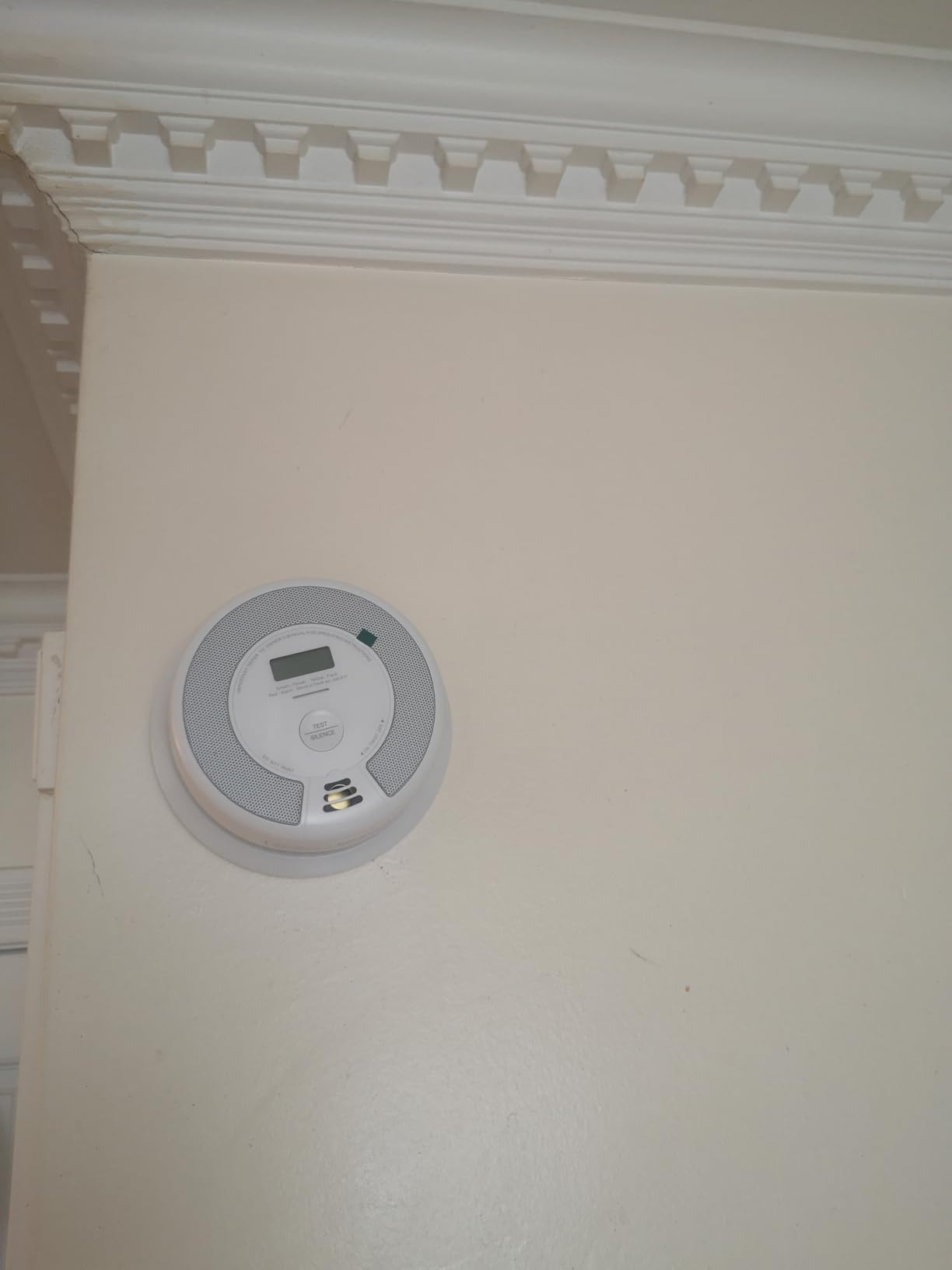 X-Sense 10-Year Battery Combination Smoke Carbon Monoxide Alarm Detector with Large LCD Display (Standalone Model) - Customer Photo 4