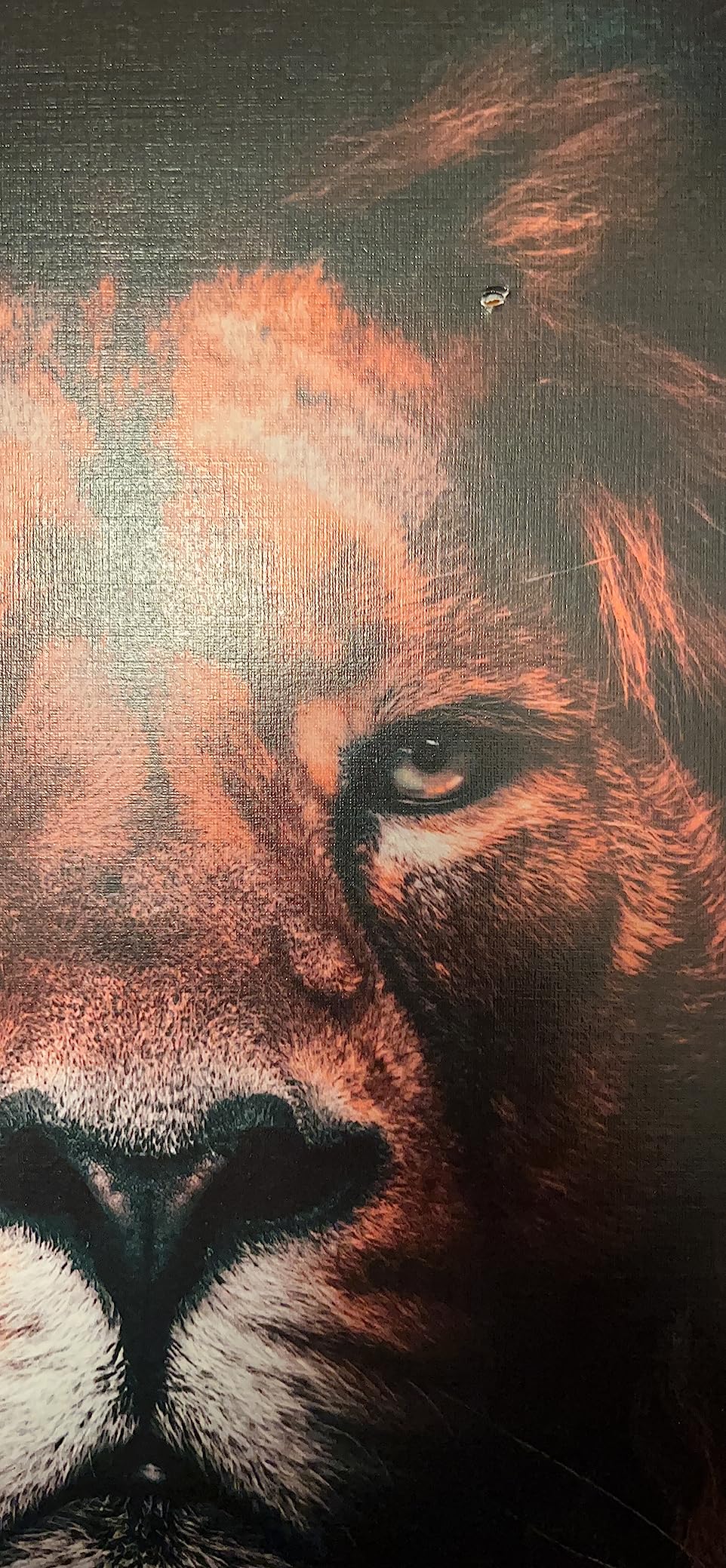 HAUS AND HUES Money Wall Art - Motivational Wall Art Motivational, Masculine Art Wall Decor, Success Wall Art, Inspirational Wall Art For Office, Hundred Dollar Bill Wall Art (Black Frame, 16x20) - Customer Photo 2