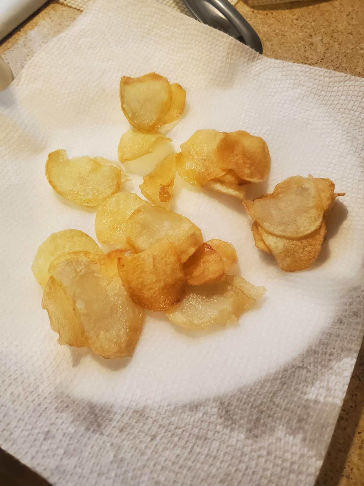 Ninja Food Processor, Professional XL, 1200 Peak-Watts, 4-in-1, Chopping, Slicing/Shredding, Purees, Dough, 12-Cup Processor Bowl, 2 Blades & 2 Discs, Feed Chute/Pusher, Black, NF701 Customer Review Ninja Food Processor, Professional XL, 1200 Peak-Watts, 4-in-1, Chopping, Slicing/Shredding, Purees, Dough, 12-Cup Processor Bowl, 2 Blades & 2 Discs, Feed Chute/Pusher, Black, NF701 - Customer Photo 2