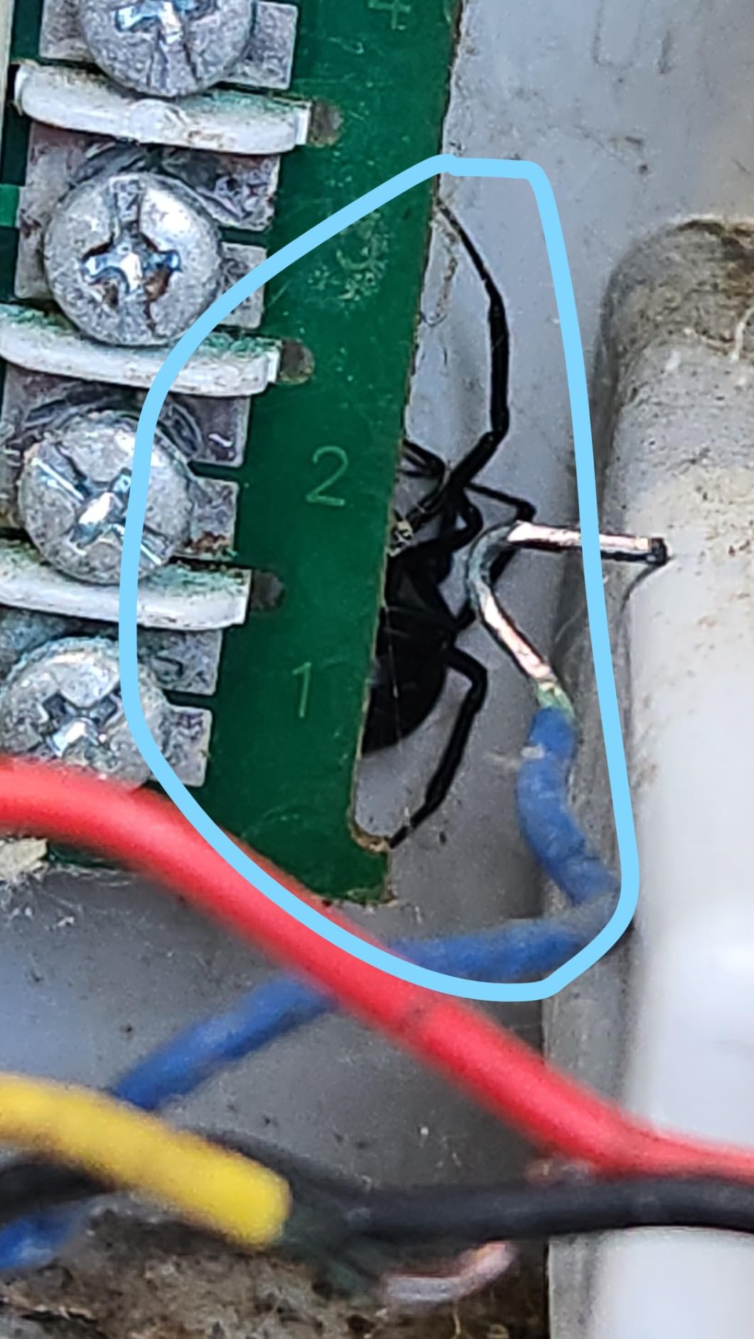 Rain Bird ARC8 App-Based Indoor/Outdoor Smart Irrigation WiFi Timer/Controller, 8-Zone/Station, EPA WaterSense Certified, Compatible with Alexa - Customer Photo 2