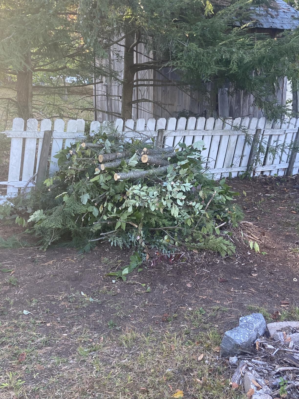 Seesii Mini Chainsaw, 6-inch Mini Chainsaw Cordless, Handheld Electric Power Chain Saw with 2 Batteries, for Tree Trimming Wood Cutting, Best Gifts for Father, Dad, Husband, Men Customer Review Seesii Mini Chainsaw, 6-inch Mini Chainsaw Cordless, Handheld Electric Power Chain Saw with 2 Batteries, for Tree Trimming Wood Cutting, Best Gifts for Father, Dad, Husband, Men - Customer Photo 1