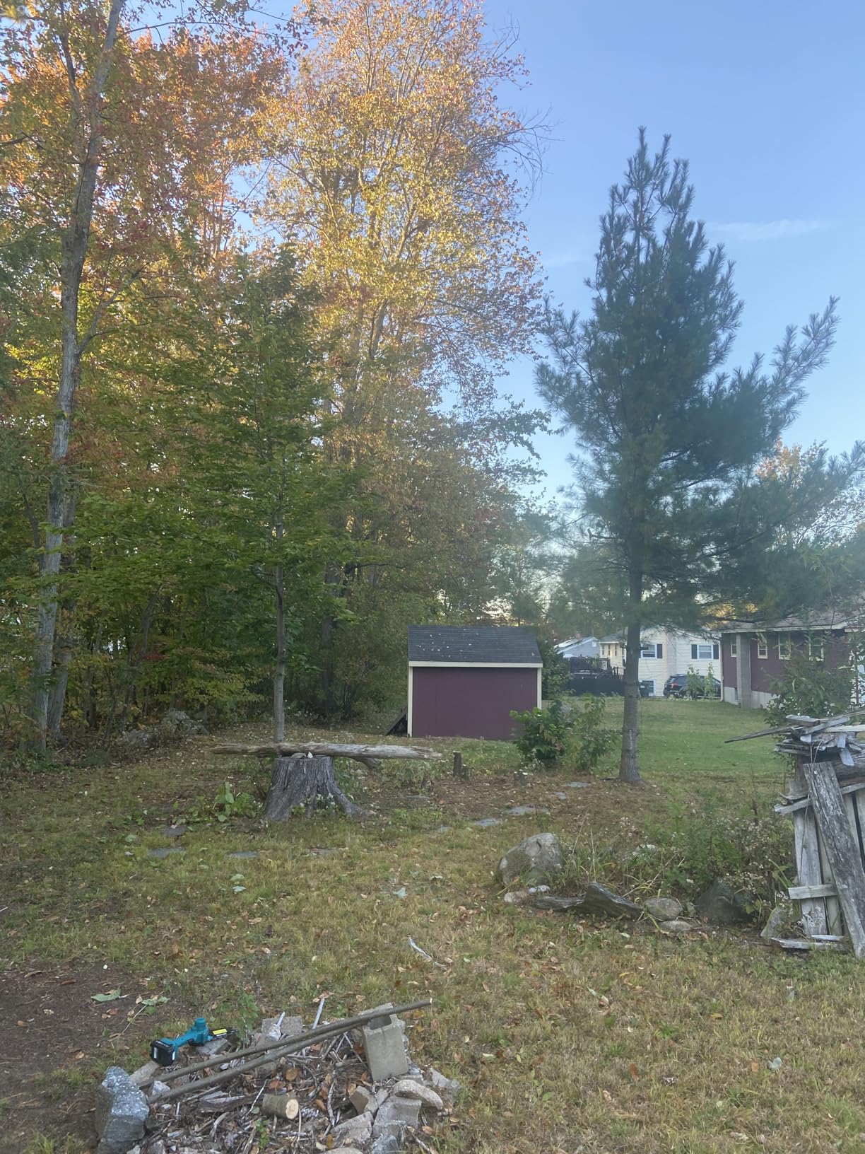 Seesii Mini Chainsaw, 6-inch Mini Chainsaw Cordless, Handheld Electric Power Chain Saw with 2 Batteries, for Tree Trimming Wood Cutting, Best Gifts for Father, Dad, Husband, Men Customer Review Seesii Mini Chainsaw, 6-inch Mini Chainsaw Cordless, Handheld Electric Power Chain Saw with 2 Batteries, for Tree Trimming Wood Cutting, Best Gifts for Father, Dad, Husband, Men - Customer Photo 2