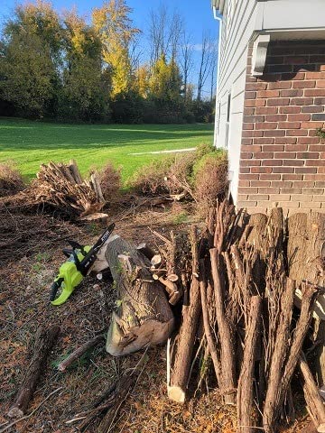 40-Volt HP Brushless 14 in. Cordless Battery Chainsaw (Tool Only) - Customer Photo 2