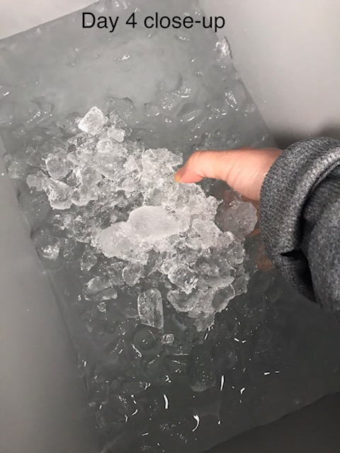 Igloo BMX Cooler | Insulated Hard Shell Ice Chest Customer Review Igloo BMX Cooler | Insulated Hard Shell Ice Chest - Customer Photo 3