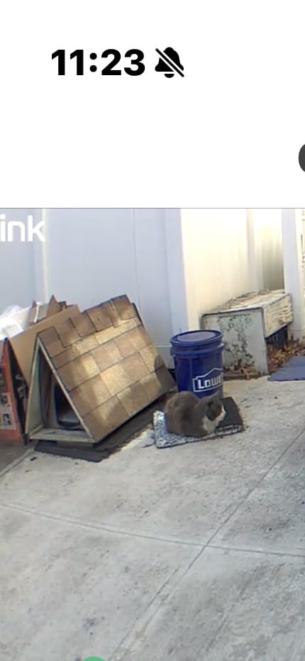 PETLIBRO Automatic Cat Feeder with Camera, 1080P HD Video with Night Vision, 5G WiFi Pet Feeder with 2-Way Audio, Low Food & Blockage Sensor, Motion & Sound Alerts for Cat & Dog Single Tray - Customer Photo 4