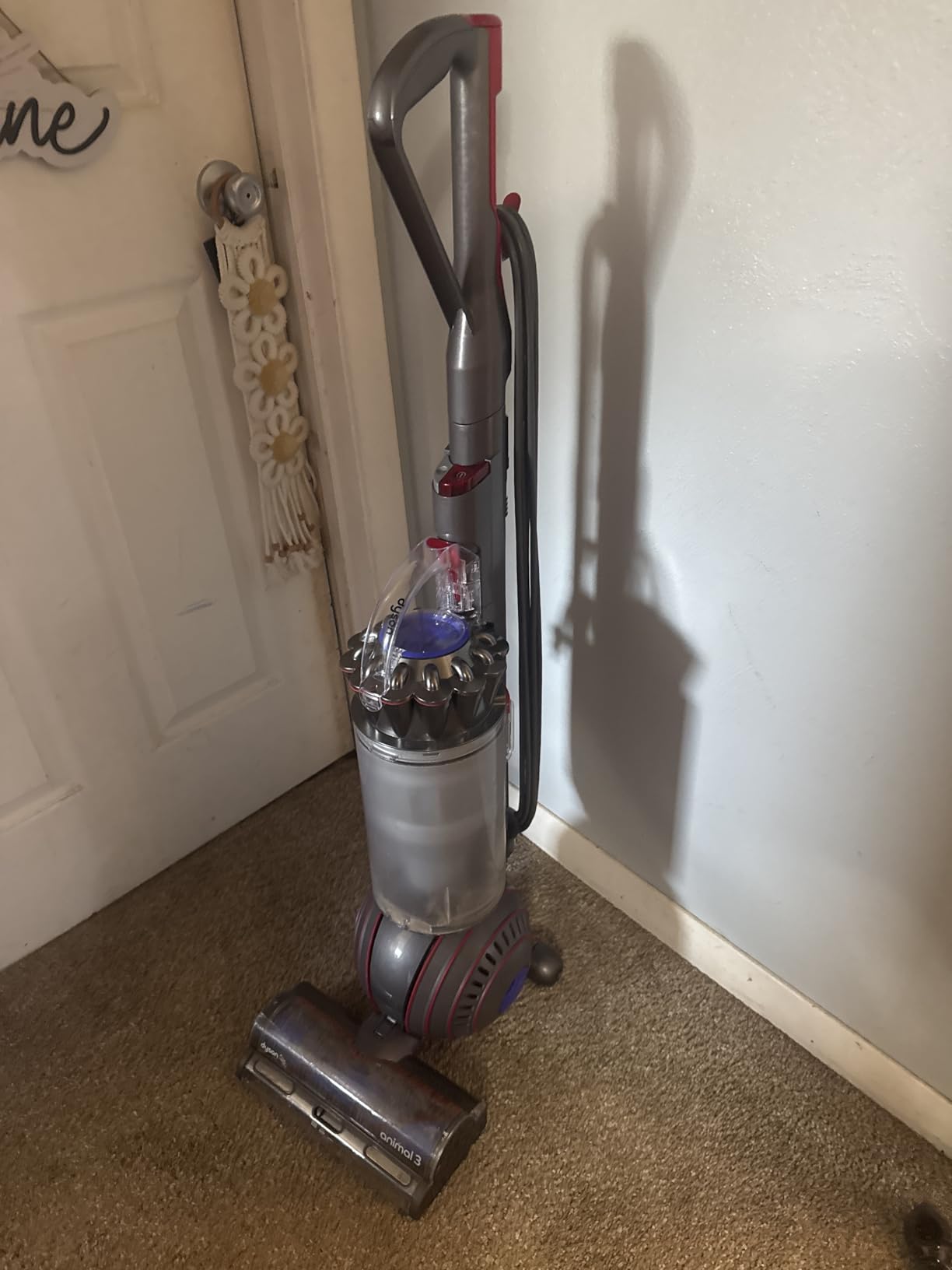 Dyson Ball Animal 3 Upright Vacuum, Corded, 290AW, De-tangling Motorbar Cleaner Head for All Floors, 3 Suction Modes - Customer Photo 3