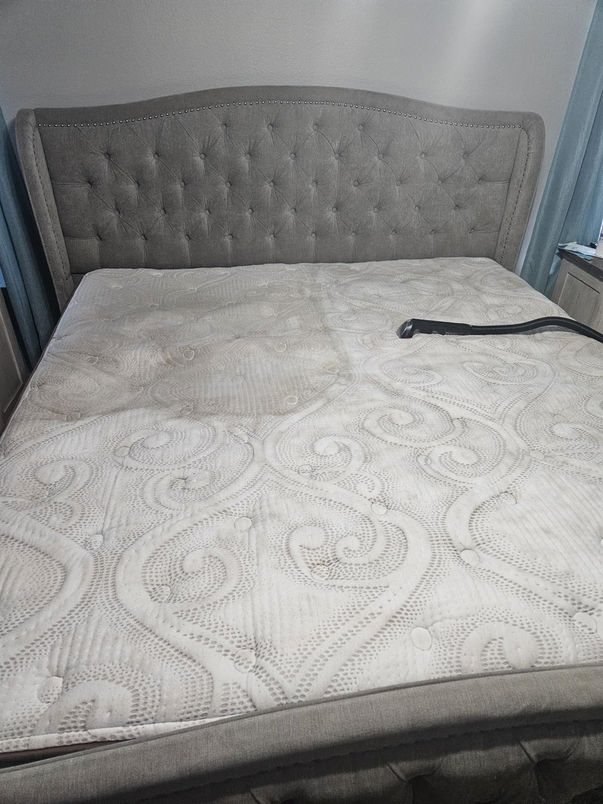 BISSELL ProHeat 2X Revolution Pet Pro Plus, 3588F, Upright Deep Cleaner, 30-minute Dry Time, Dual Dirt Lifter Powerbrush, Hose & Tool Attachment, Pet Upholstery and Tough Stain Tool Included - Customer Photo 1