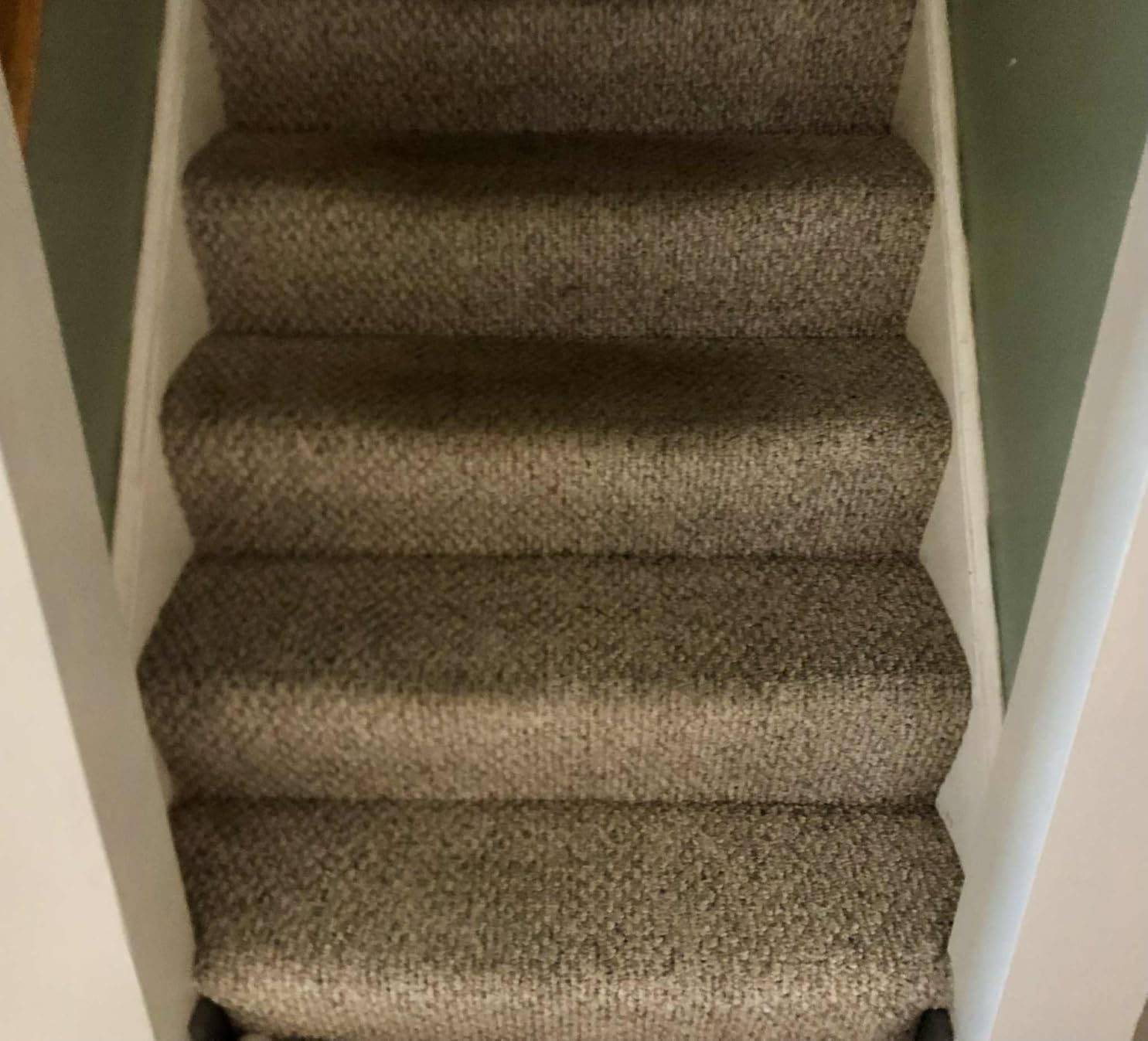 BISSELL ProHeat 2X Revolution Pet Pro Plus, 3588F, Upright Deep Cleaner, 30-minute Dry Time, Dual Dirt Lifter Powerbrush, Hose & Tool Attachment, Pet Upholstery and Tough Stain Tool Included - Customer Photo 2