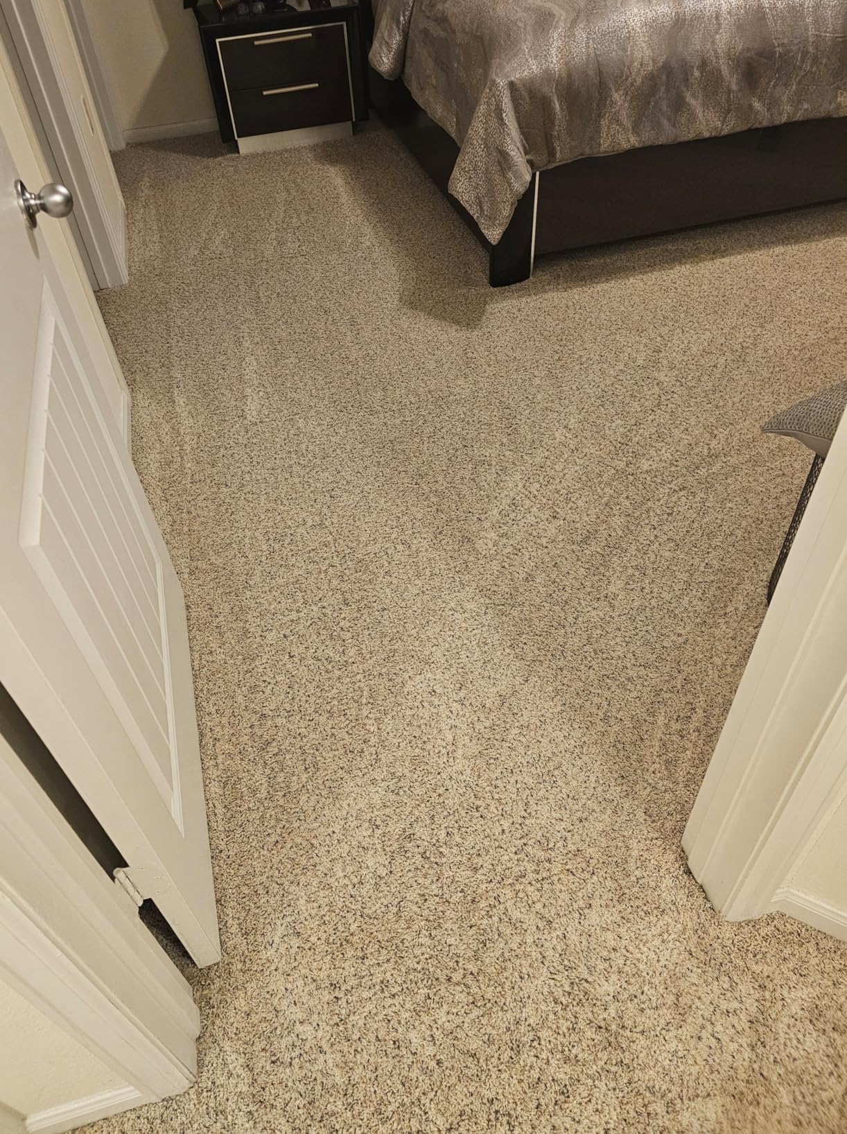 BISSELL ProHeat 2X Revolution Pet Pro Plus, 3588F, Upright Deep Cleaner, 30-minute Dry Time, Dual Dirt Lifter Powerbrush, Hose & Tool Attachment, Pet Upholstery and Tough Stain Tool Included - Customer Photo 3