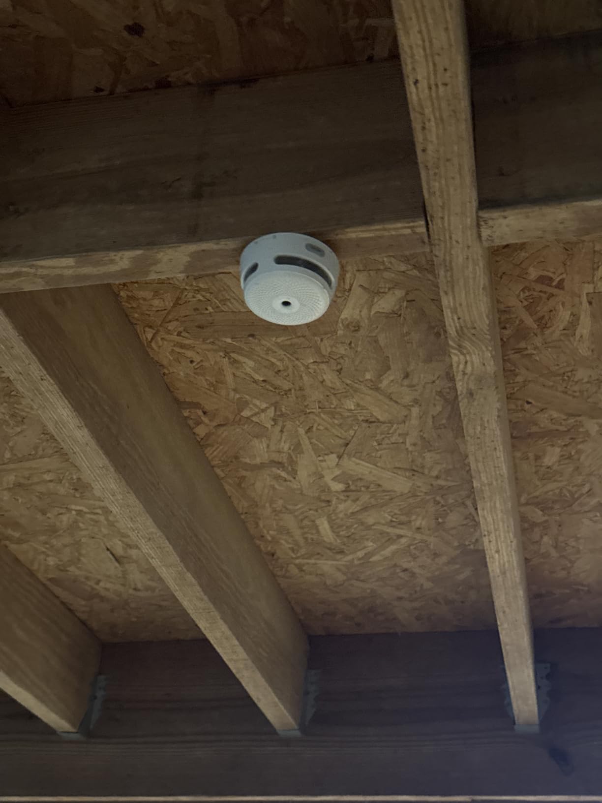 X-Sense Smart Smoke Detector Fire Alarm with Replaceable Battery, Wi-Fi Smoke Detector, Real-Time App Notifications, XS01-WX, 1-Pack - Customer Photo 3