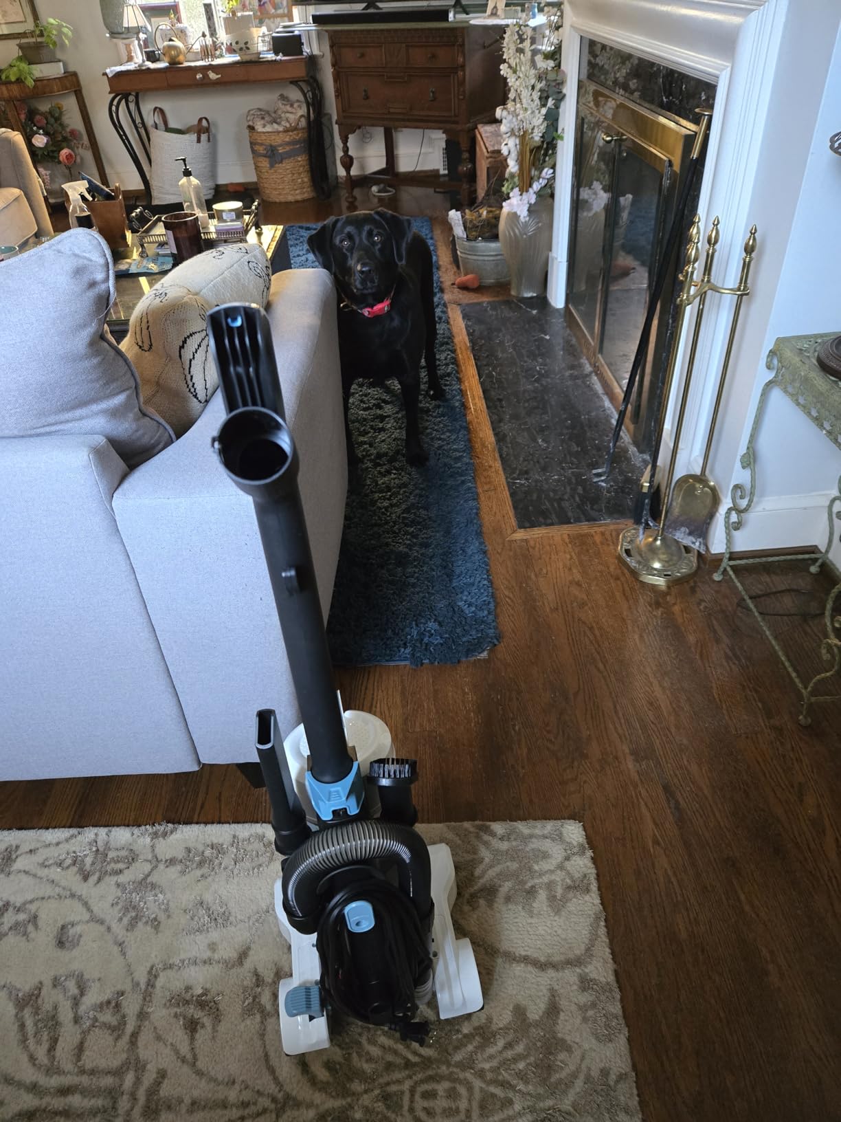 Amazon Basics Upright Bagless Vacuum Cleaner for Carpet and Hard Floors, With Crevice and Upholstery Tools, Detachable Handle, Lightweight (8.4 lbs), 1.7L Dust Cup, 720W, 25ft Cord, Black/White - Customer Photo 1