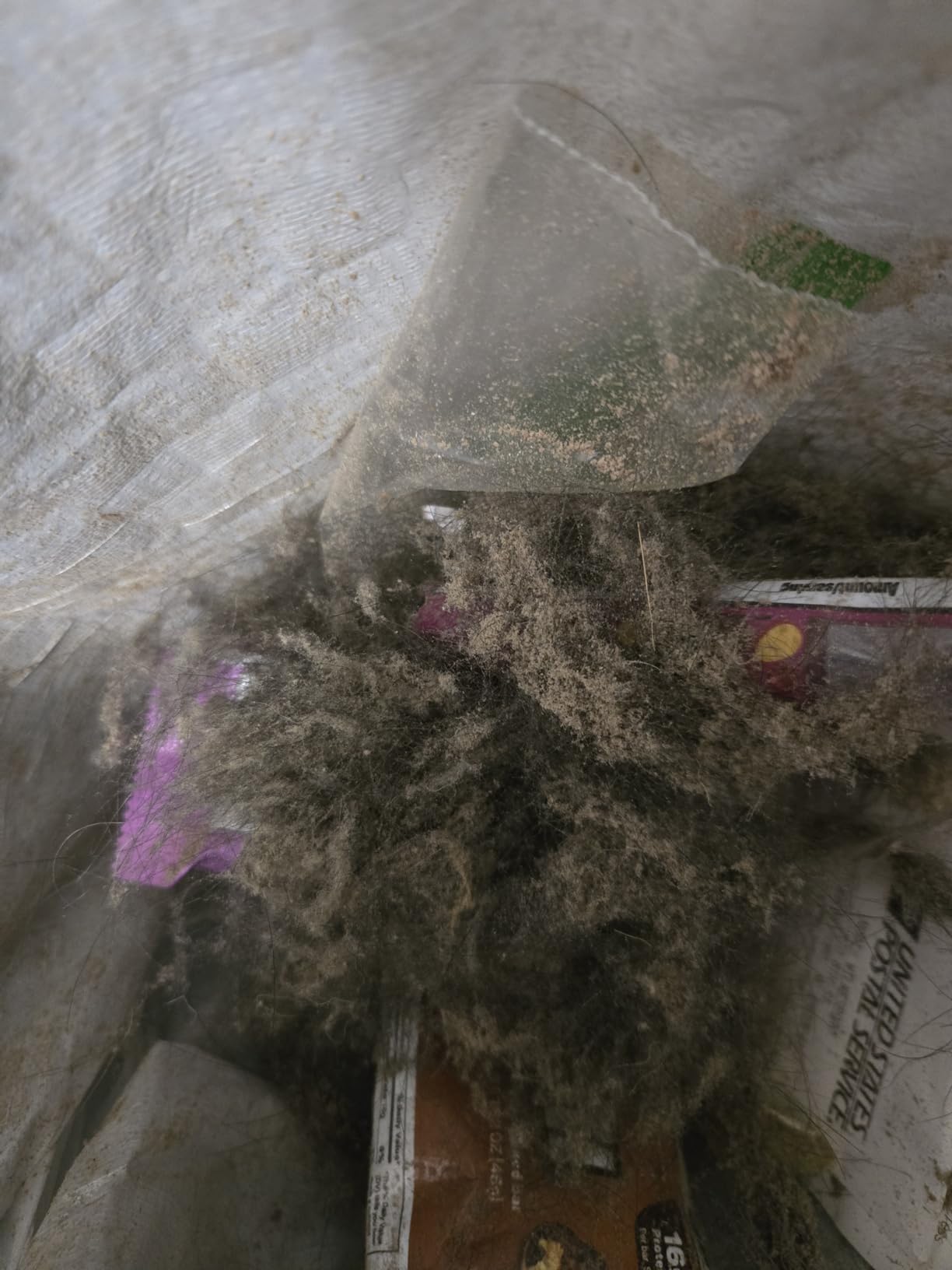 Amazon Basics Upright Bagless Vacuum Cleaner for Carpet and Hard Floors, With Crevice and Upholstery Tools, Detachable Handle, Lightweight (8.4 lbs), 1.7L Dust Cup, 720W, 25ft Cord, Black/White - Customer Photo 2