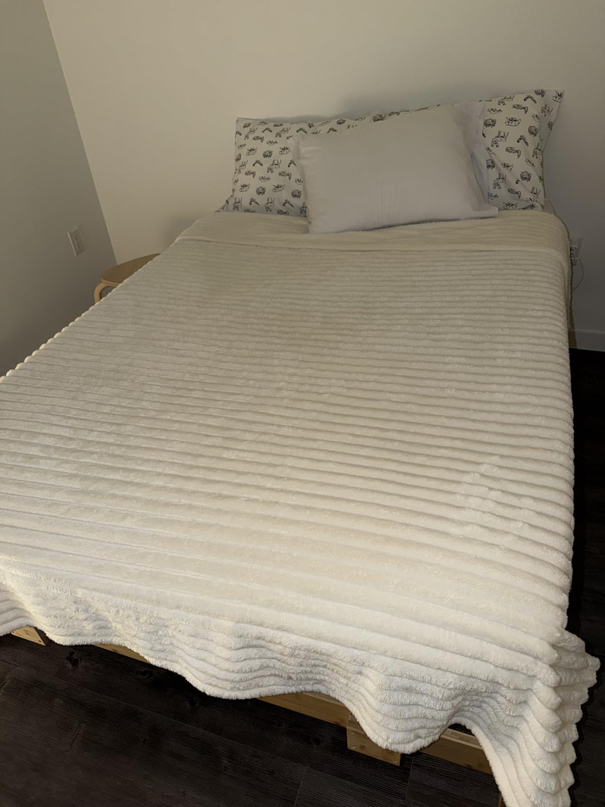 Bedsure GentleSoft White Throw Blanket for Couch - Cozy Blanket for Women, Cute Fleece Throw for Girls, Christmas Birthday Gifts for Women Men Teen, Room Home Boho Fall Decor, Off White, 50x60 Inches - Customer Photo 2