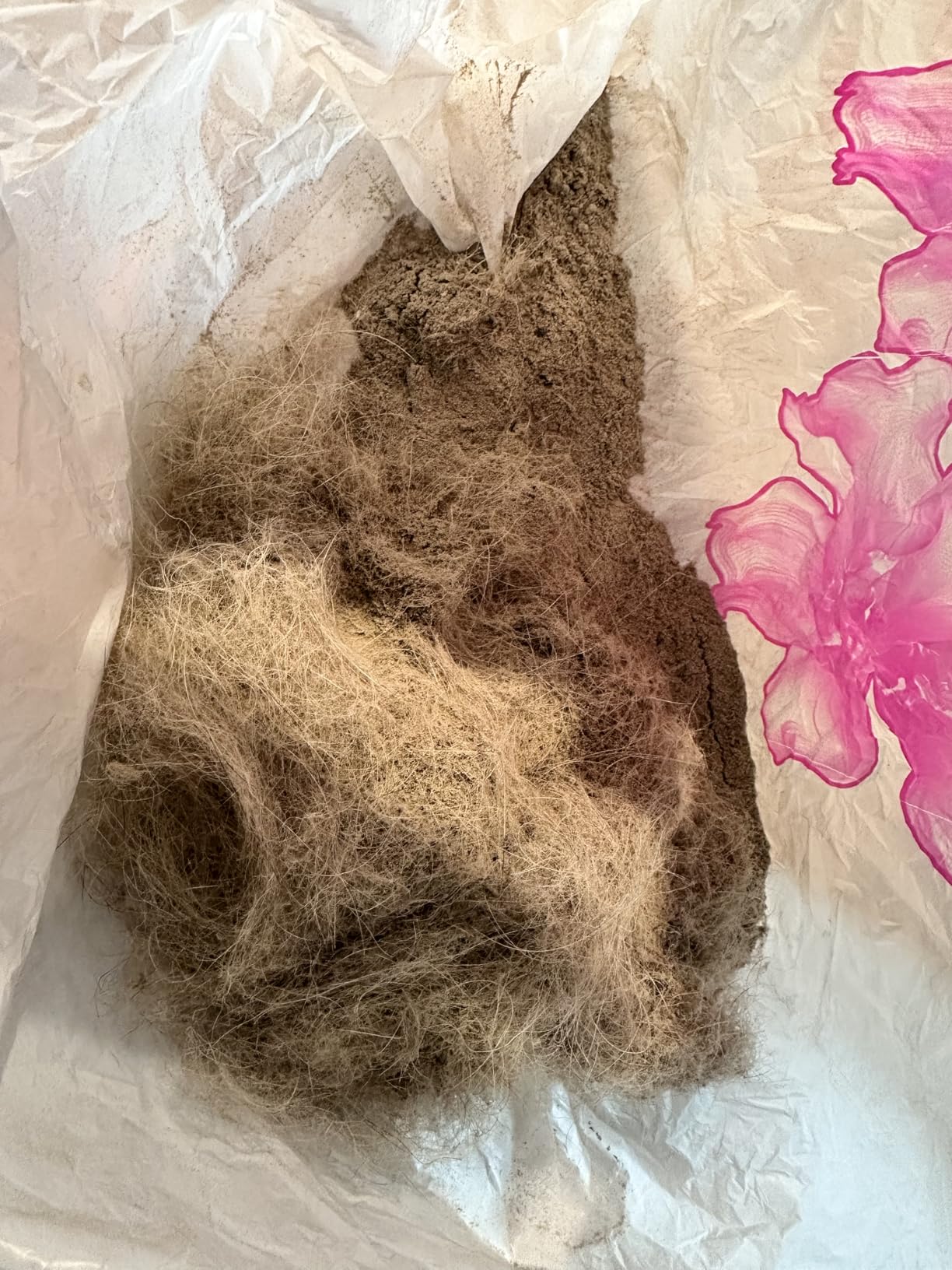 Shark ZU102 Rotator Pet Upright Vacuum with PowerFins HairPro & Odor Neutralizer Technology, Charcoal, 2.9 L Dust Cup - Customer Photo 1