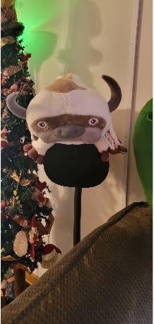 Era 300 - Black - Wireless, Alexa Enabled Smart Speaker with Dolby Atmos Customer Review Era 300 - Black - Wireless, Alexa Enabled Smart Speaker with Dolby Atmos - Customer Photo 2