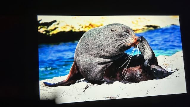 Projector 4K with Google TV, YABER K2s WiFi 6 Bluetooth Projector, Sound by JBL, Dolby Audio, Auto Focus & Keystone,Native 1080P 4K Supported Outdoor Movie Projector with Netflix 7000+ Apps - Customer Photo 1